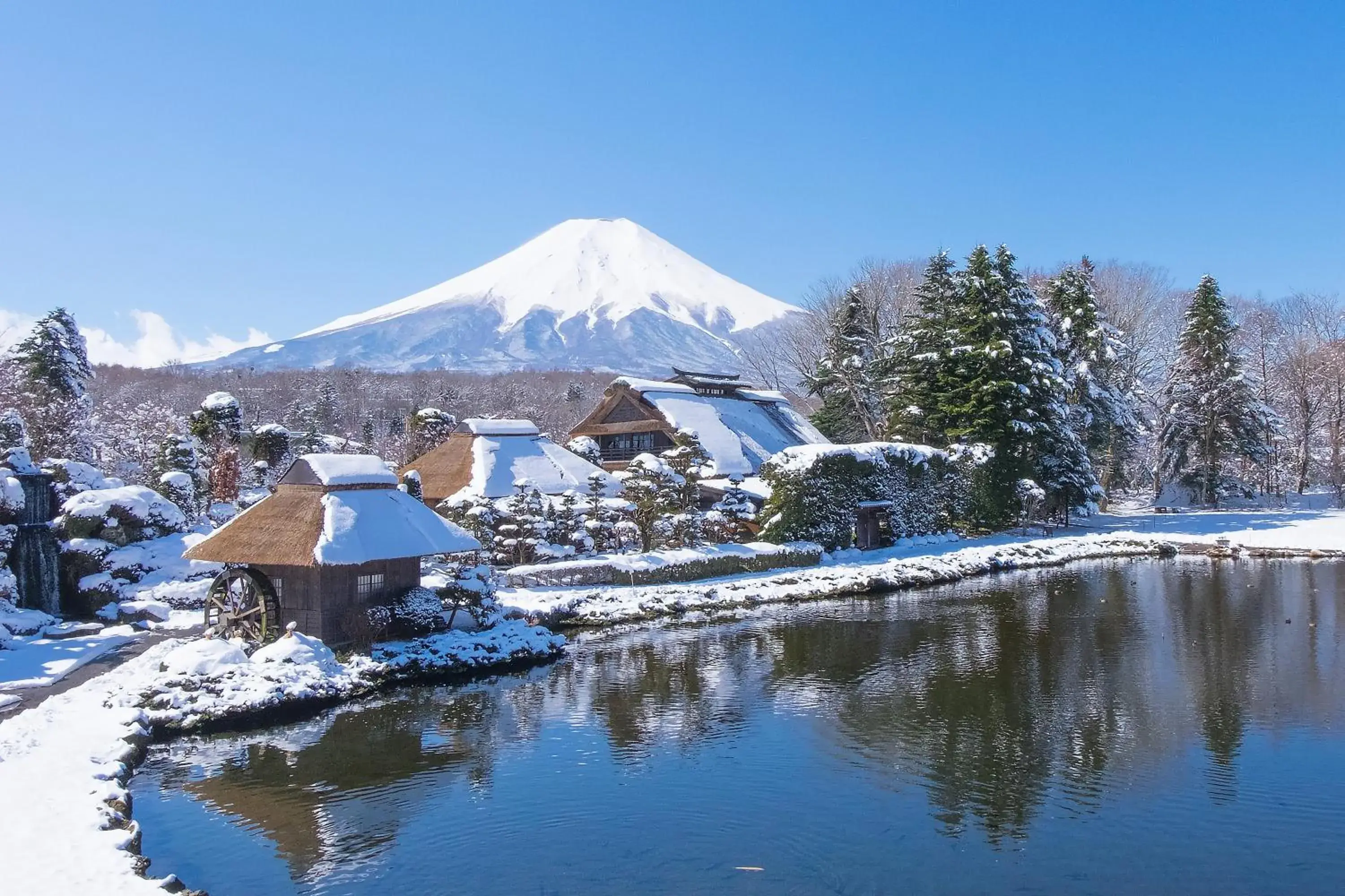 Natural landscape, Winter in HOTEL MYSTAYS Fuji Onsen Resort