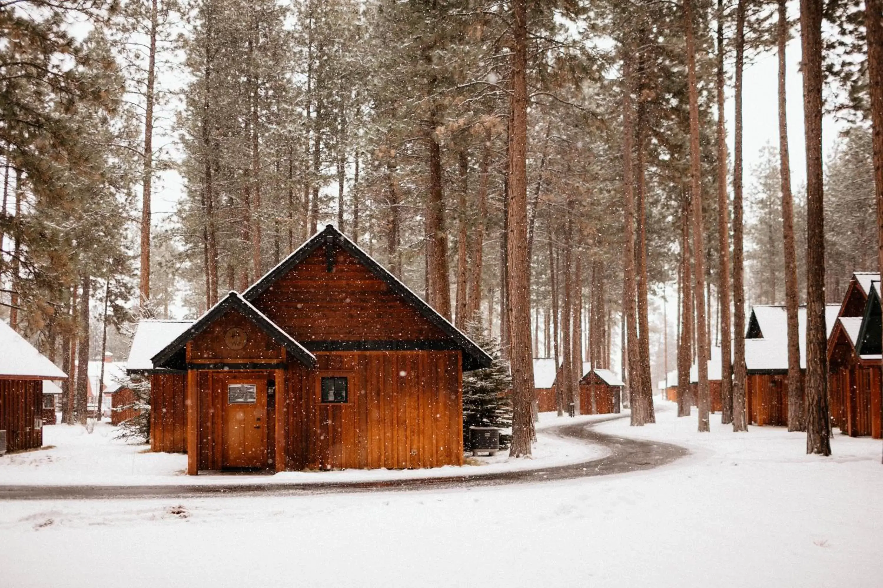 Winter in FivePine Lodge