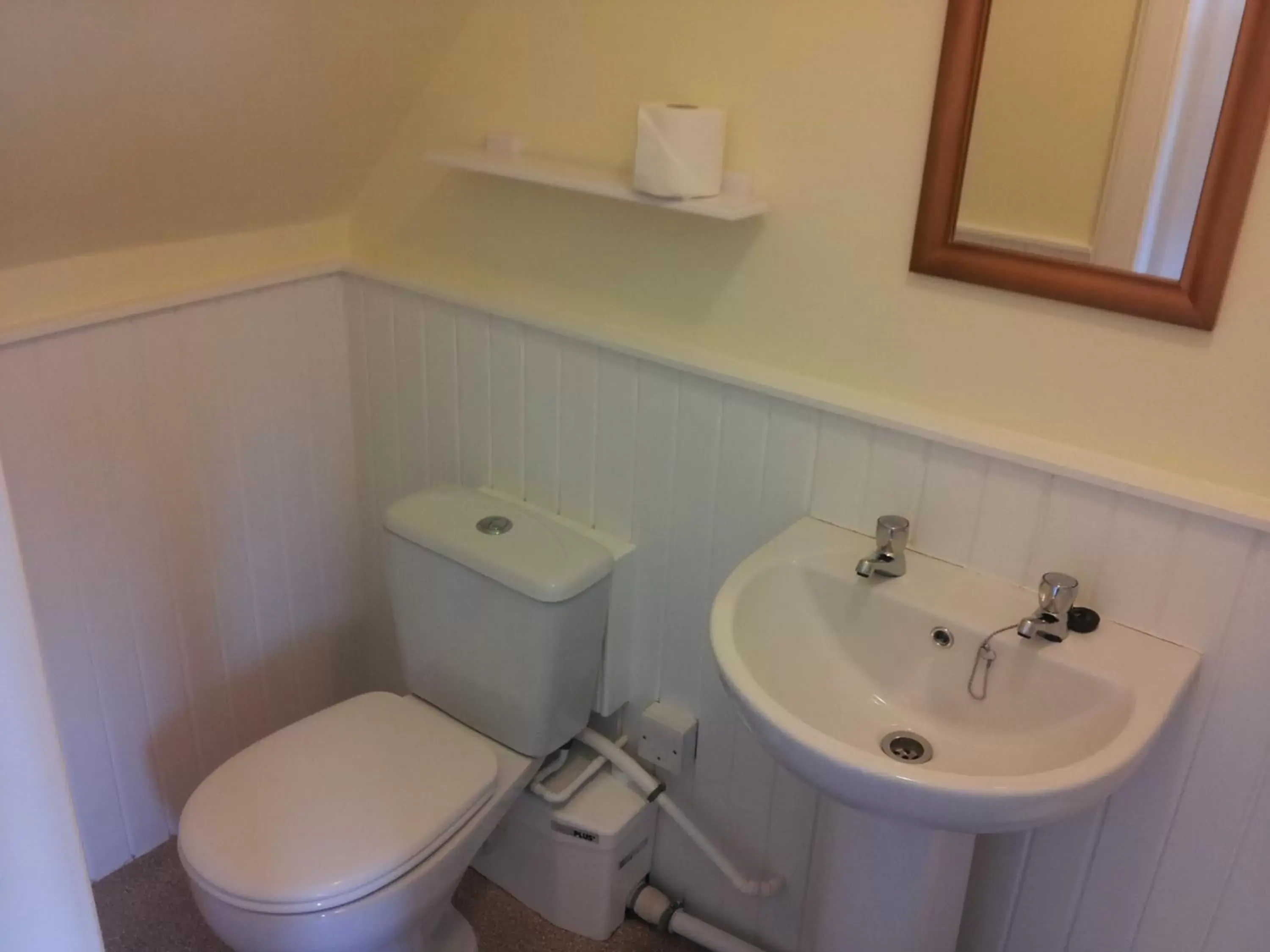 Toilet, Bathroom in Auld Cross Keys Inn