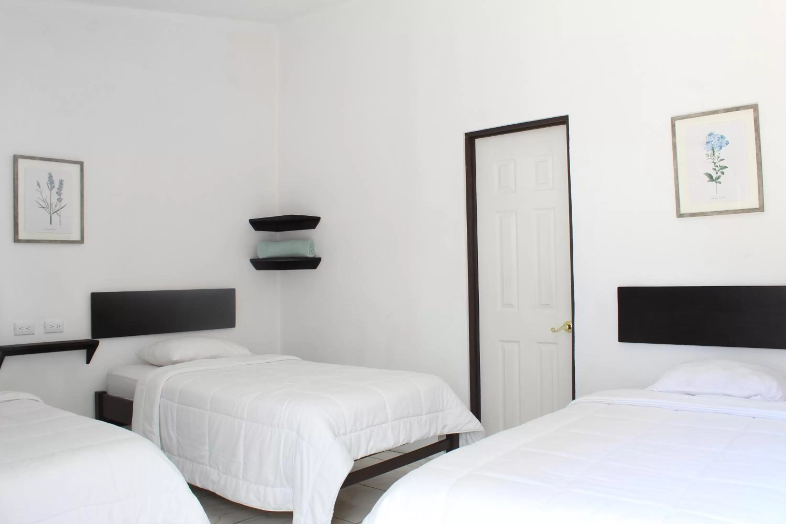 Photo of the whole room, Bed in Hotel Cañas