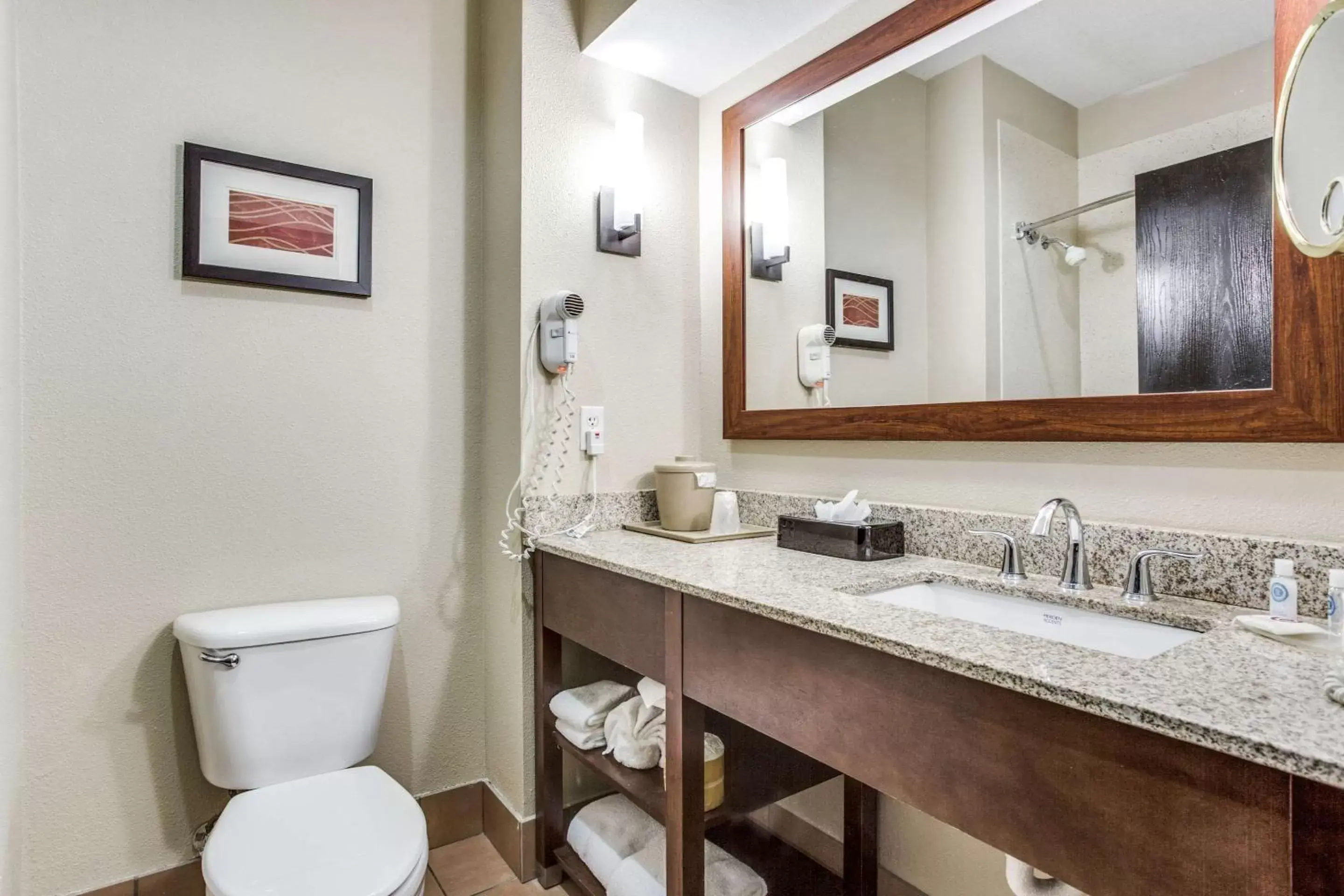 Bathroom in Comfort Inn & Suites Love Field – Dallas Market Center