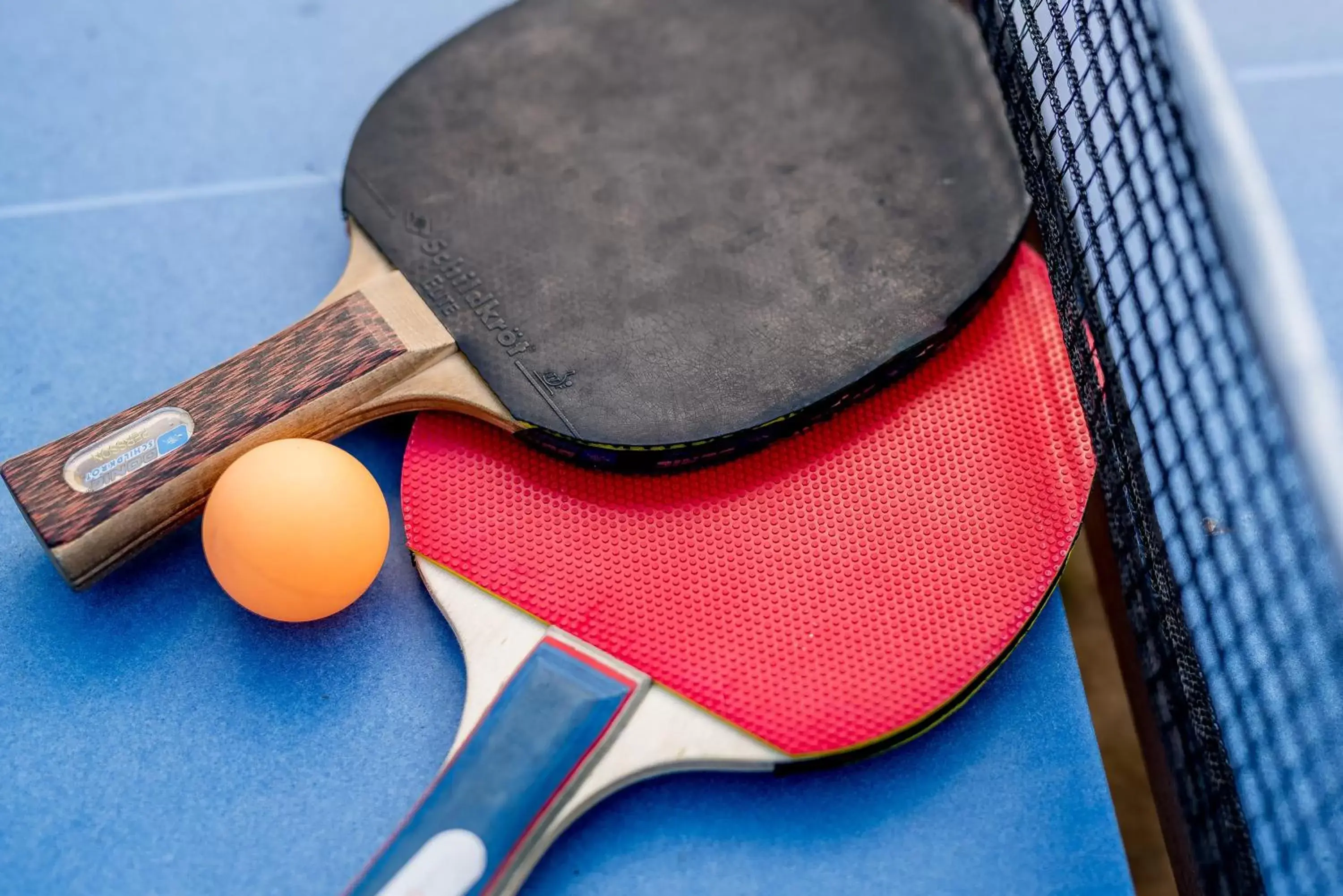 Table tennis in Logis Domaine de Fompeyre