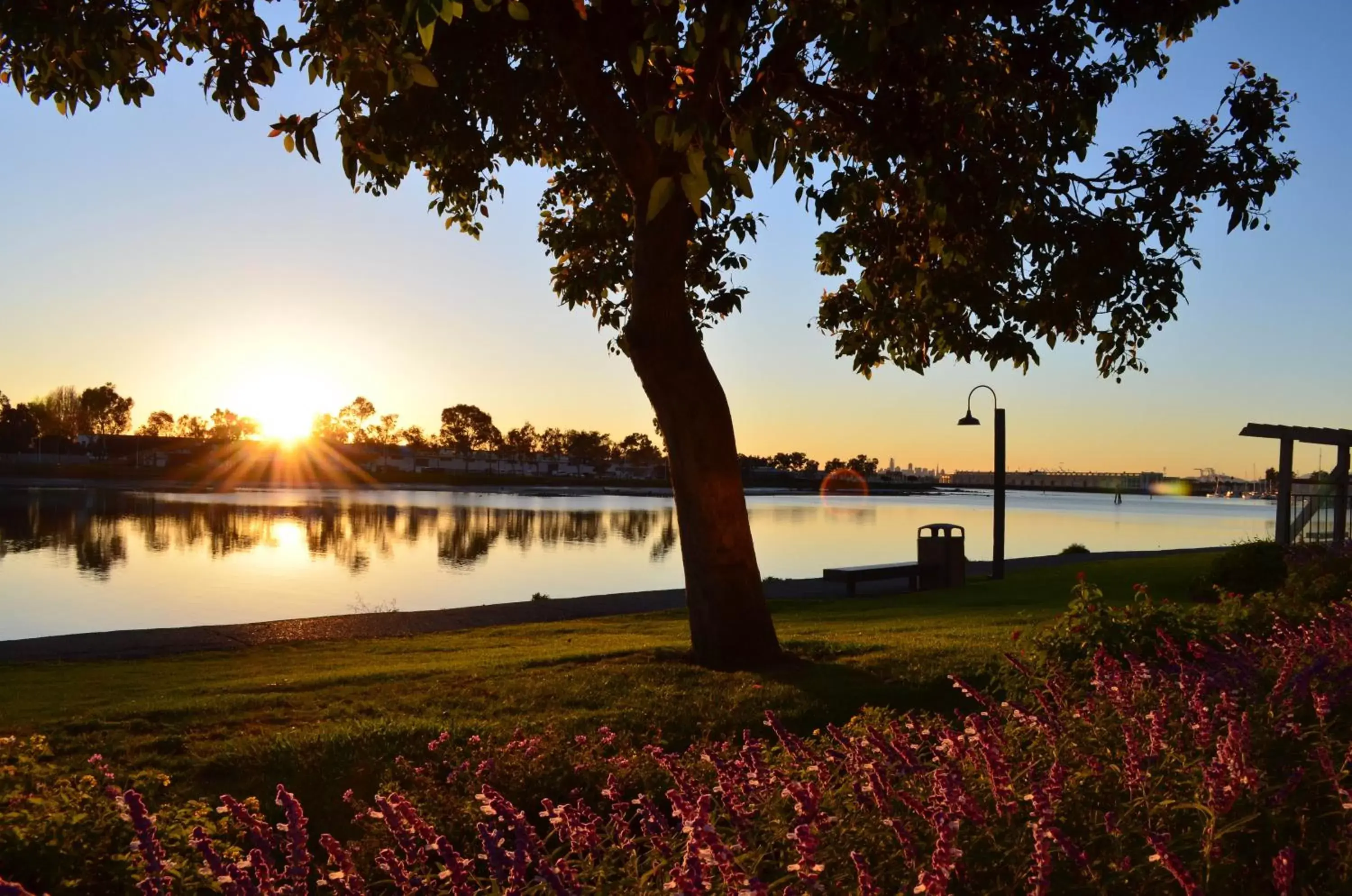 Lake view in Executive Inn & Suites Oakland