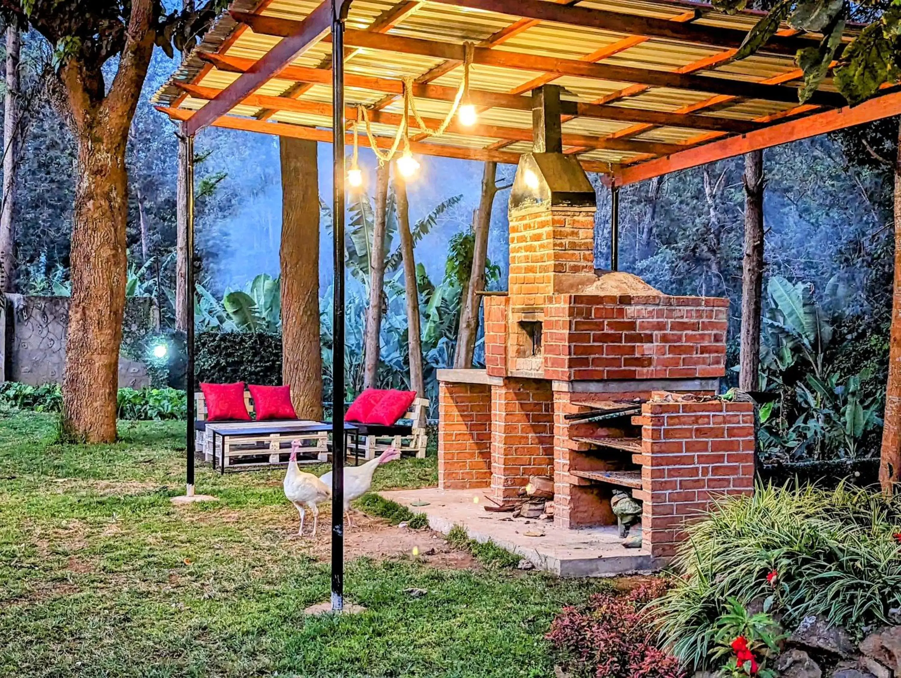 Garden, BBQ Facilities in Mvuli Hotels Arusha