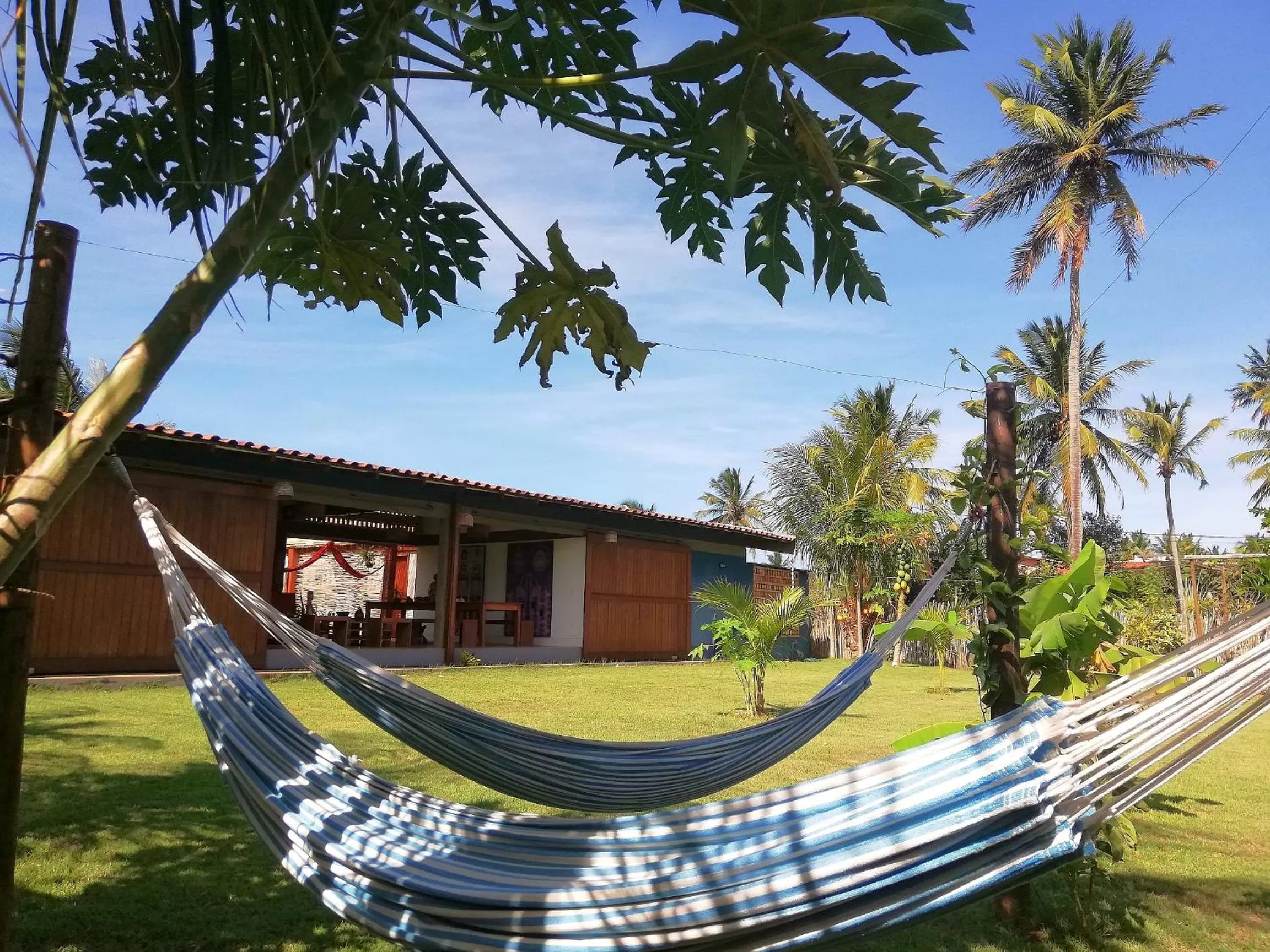 Garden in Pousada Casa de João Kitehouse