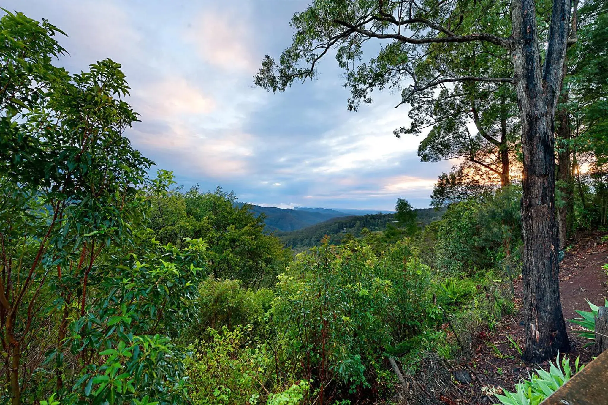 Natural Landscape in Escarpment Retreat & Day Spa for Couples