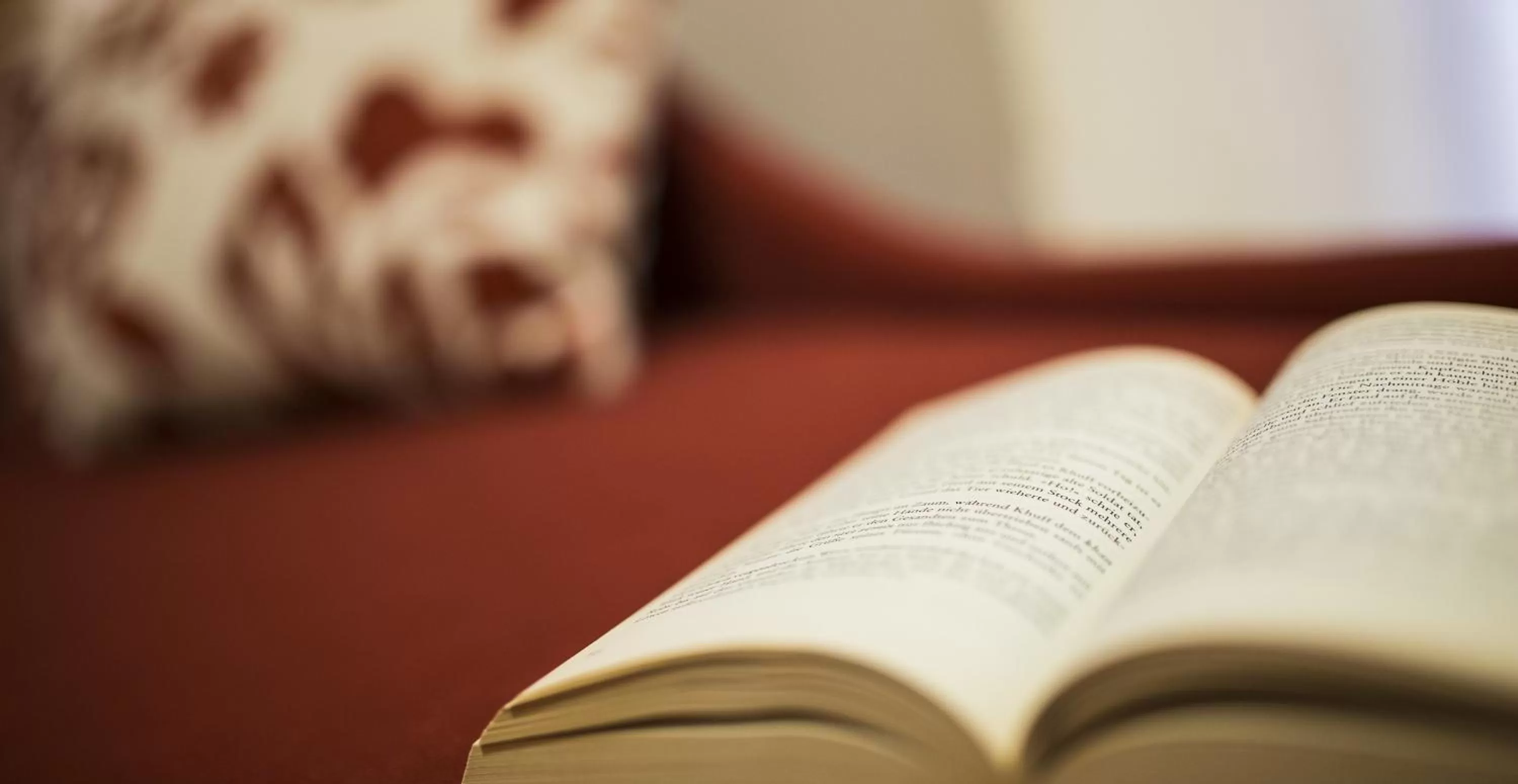 Decorative detail in Hotel Meteoritis