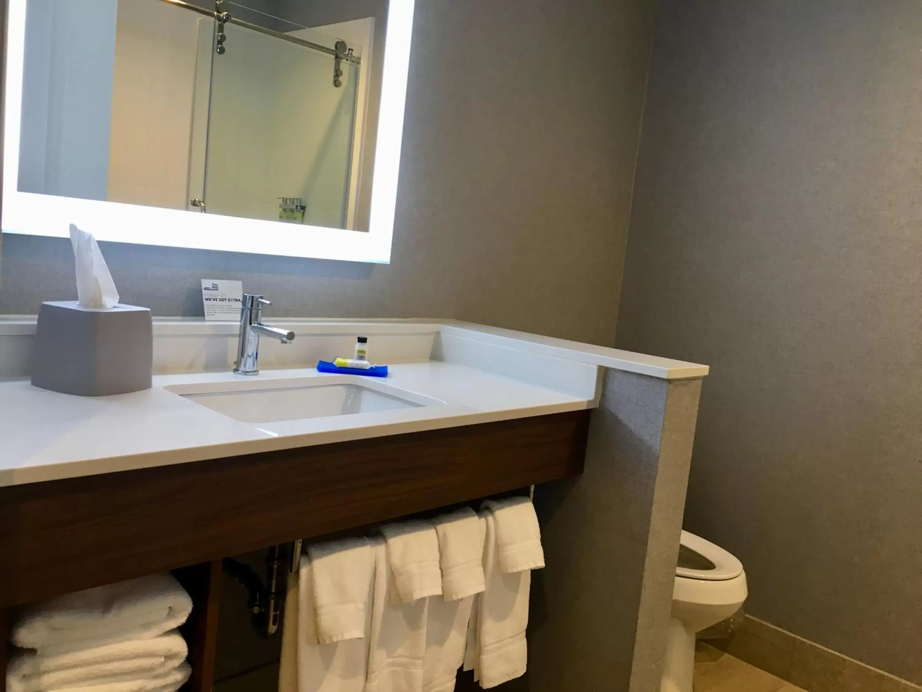 Bathroom in Holiday Inn Express - Grand Island, an IHG Hotel