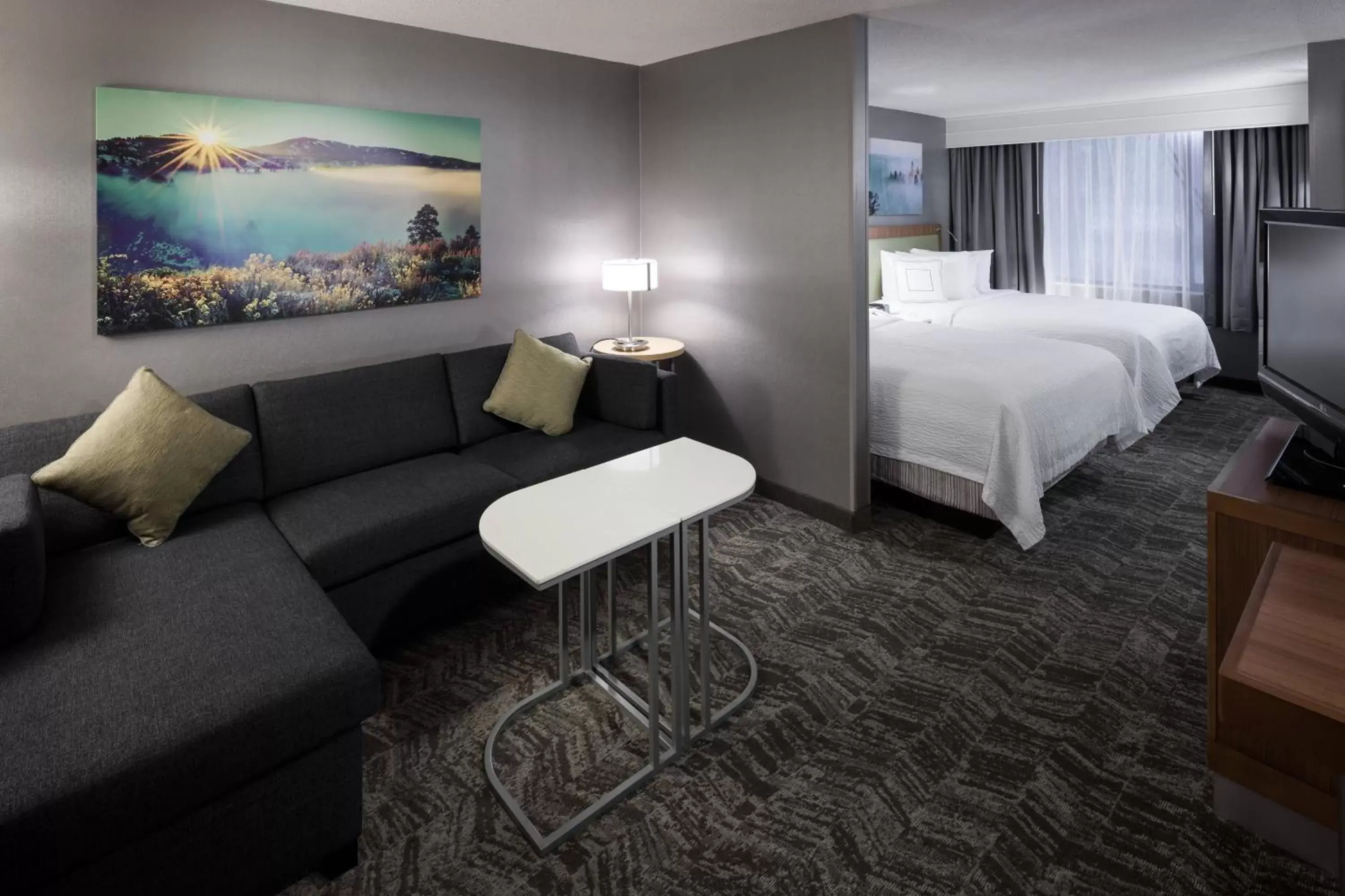 Photo of the whole room in SpringHill Suites by Marriott Boise ParkCenter