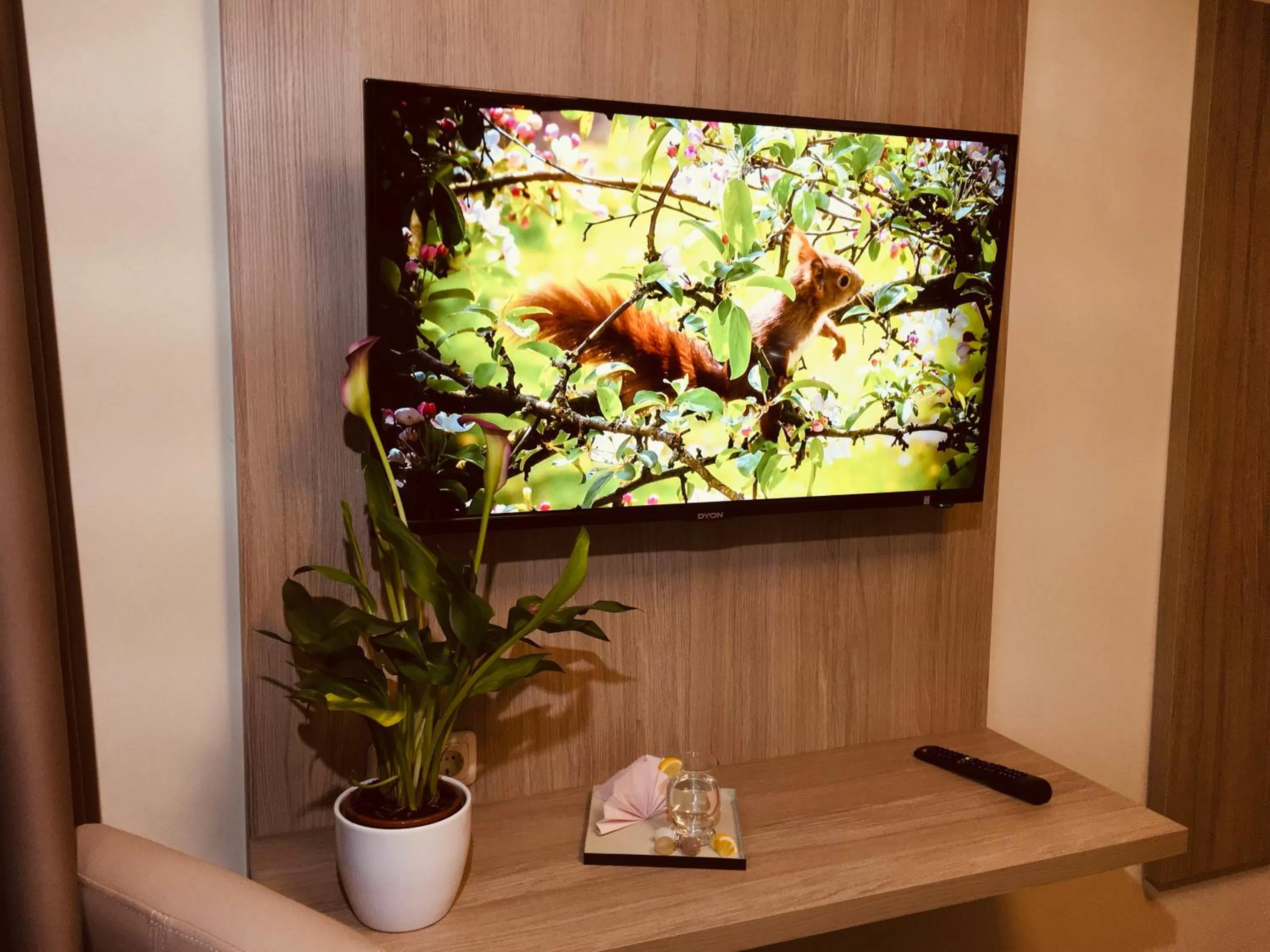 TV and multimedia in Hotel Glinde