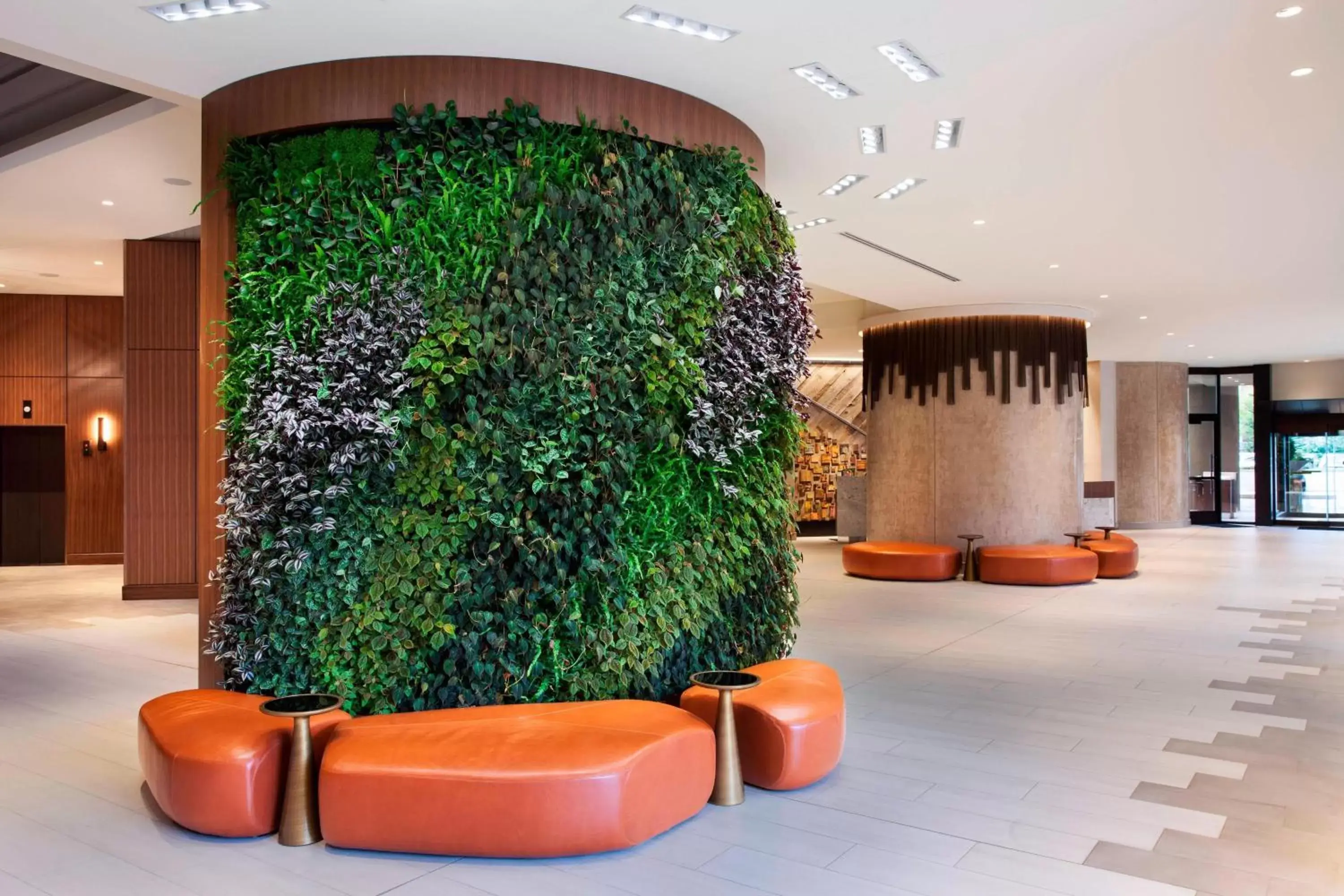 Lobby or reception in The Westin Chattanooga