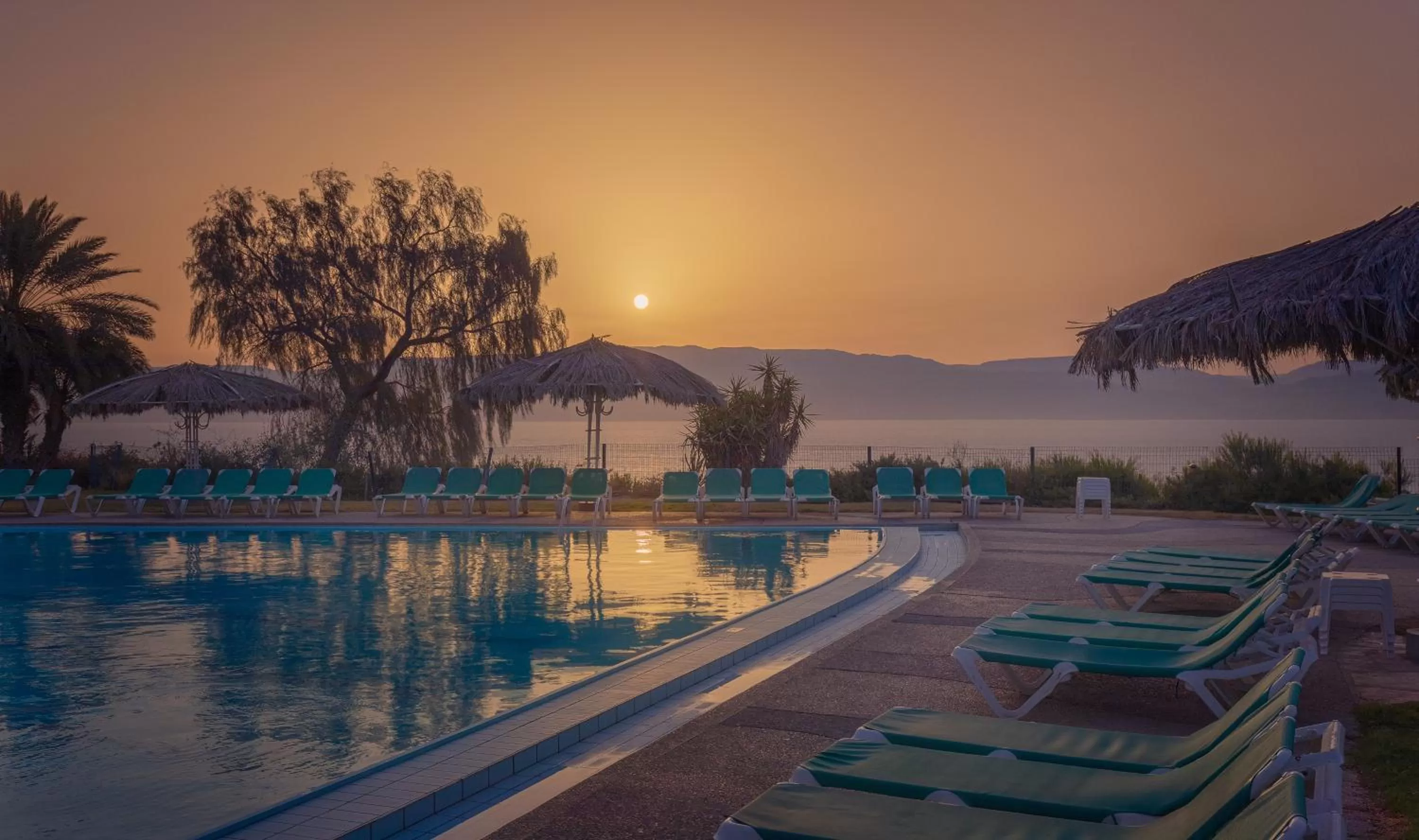 Pool view in Ein Gedi Kibbutz Hotel