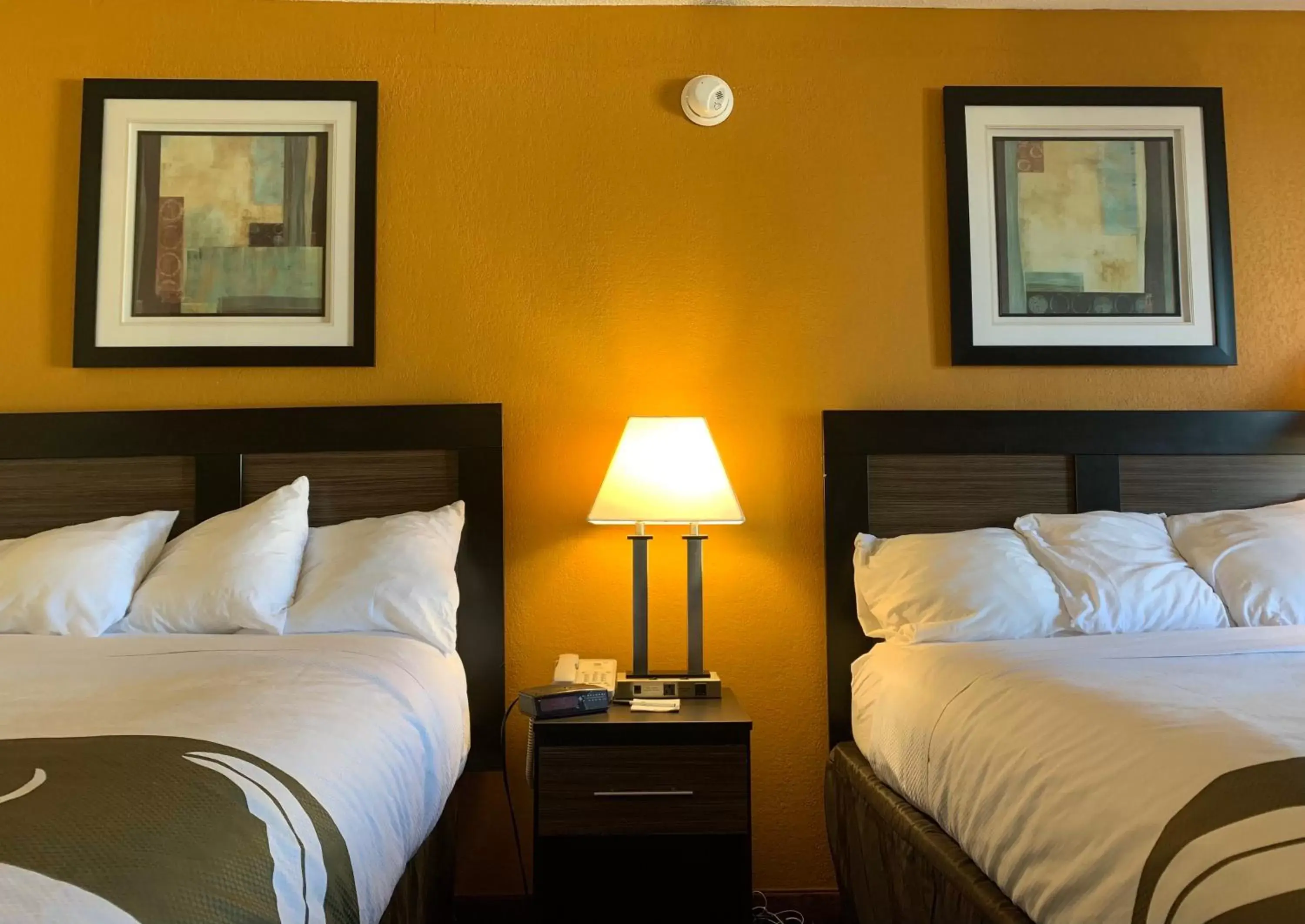 Bedroom, Bed in Quality Inn University Area Bedroom, Bed in Quality Inn University Area