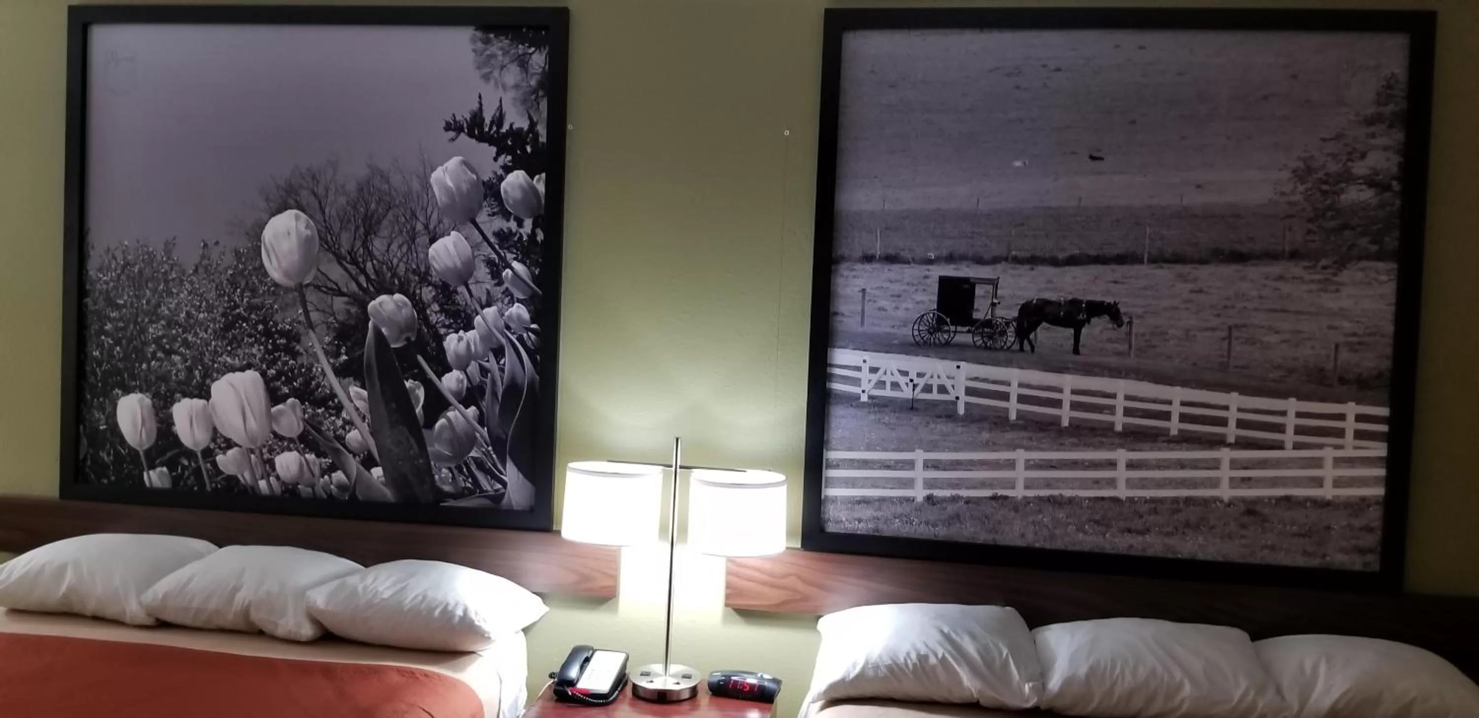 Bed in Super 8 by Wyndham Bellefontaine