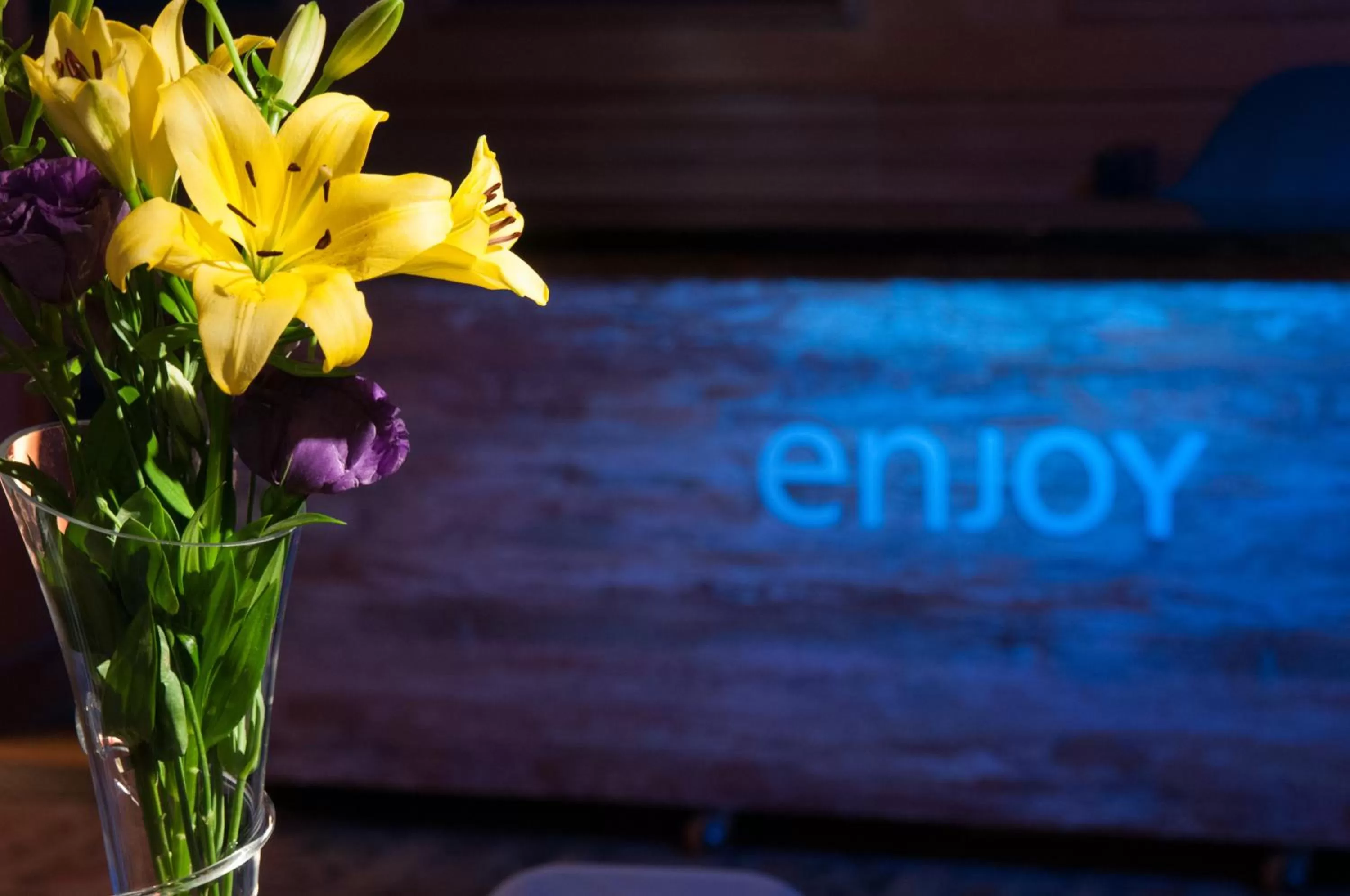 Banquet/Function facilities in Hotel Enjoy Pucón