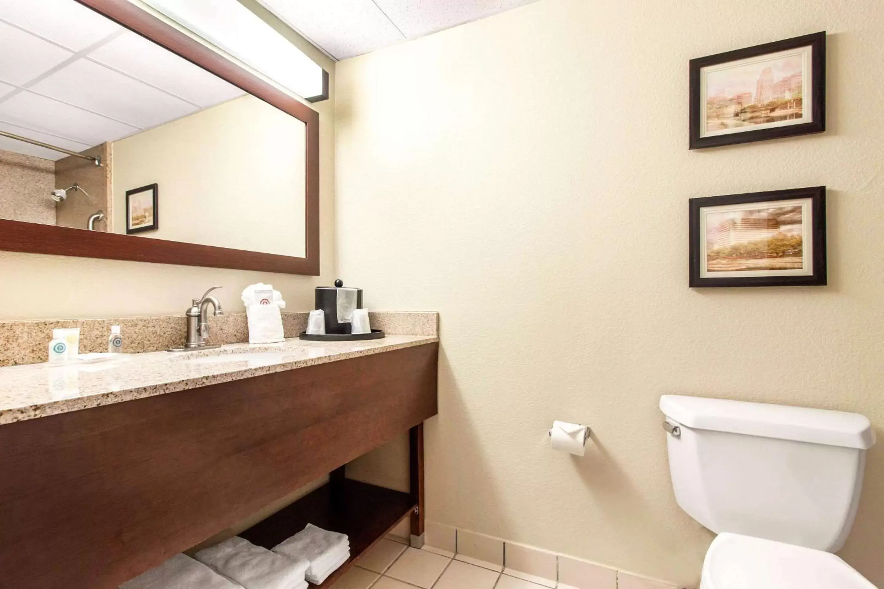 Bathroom in Comfort Inn & Suites Omaha