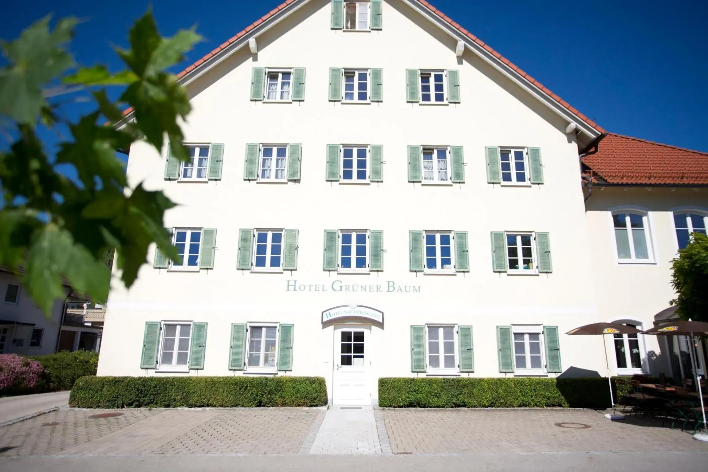 Facade/Entrance in Hotel Grüner Baum