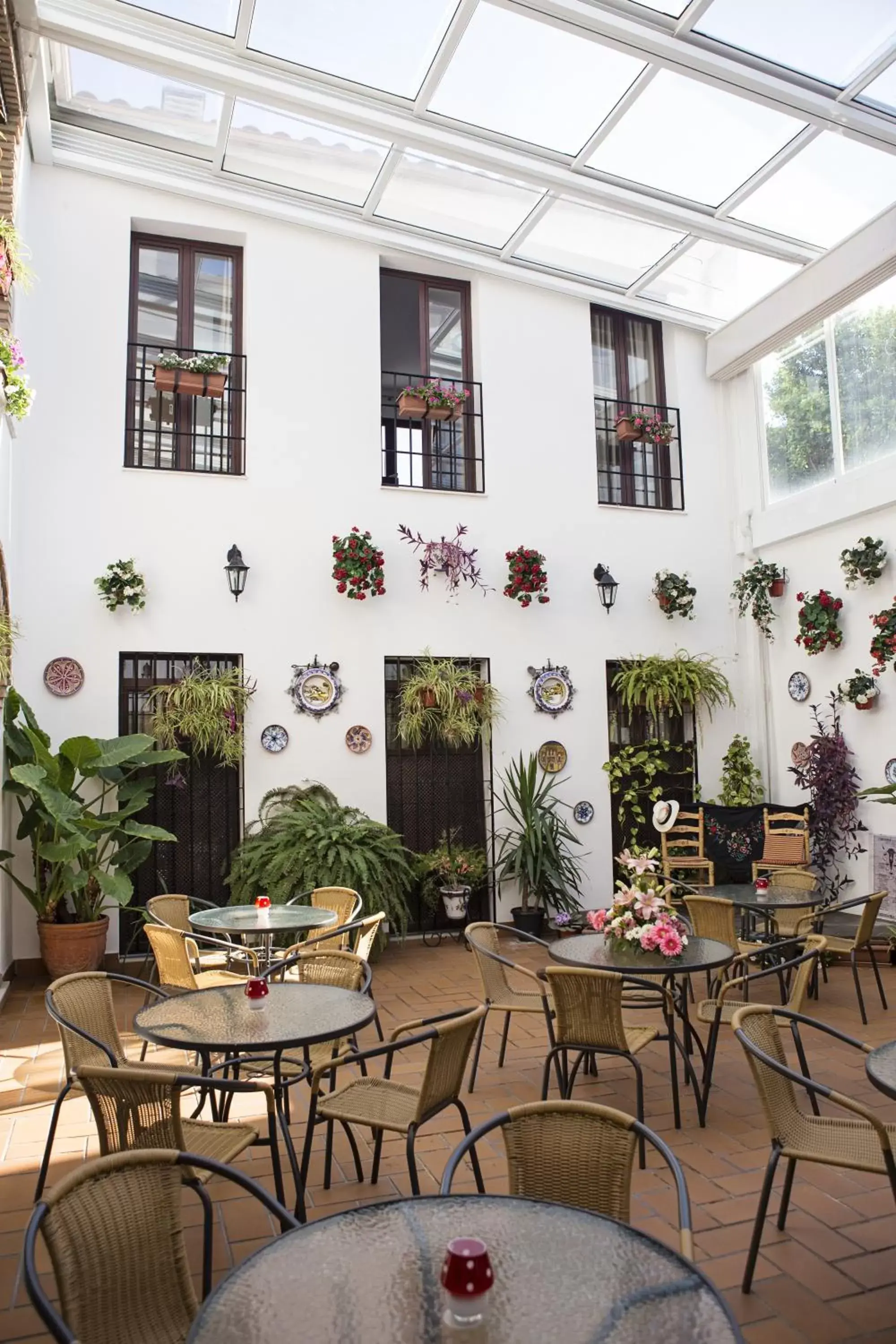 Balcony/Terrace in Hotel de Los Faroles
