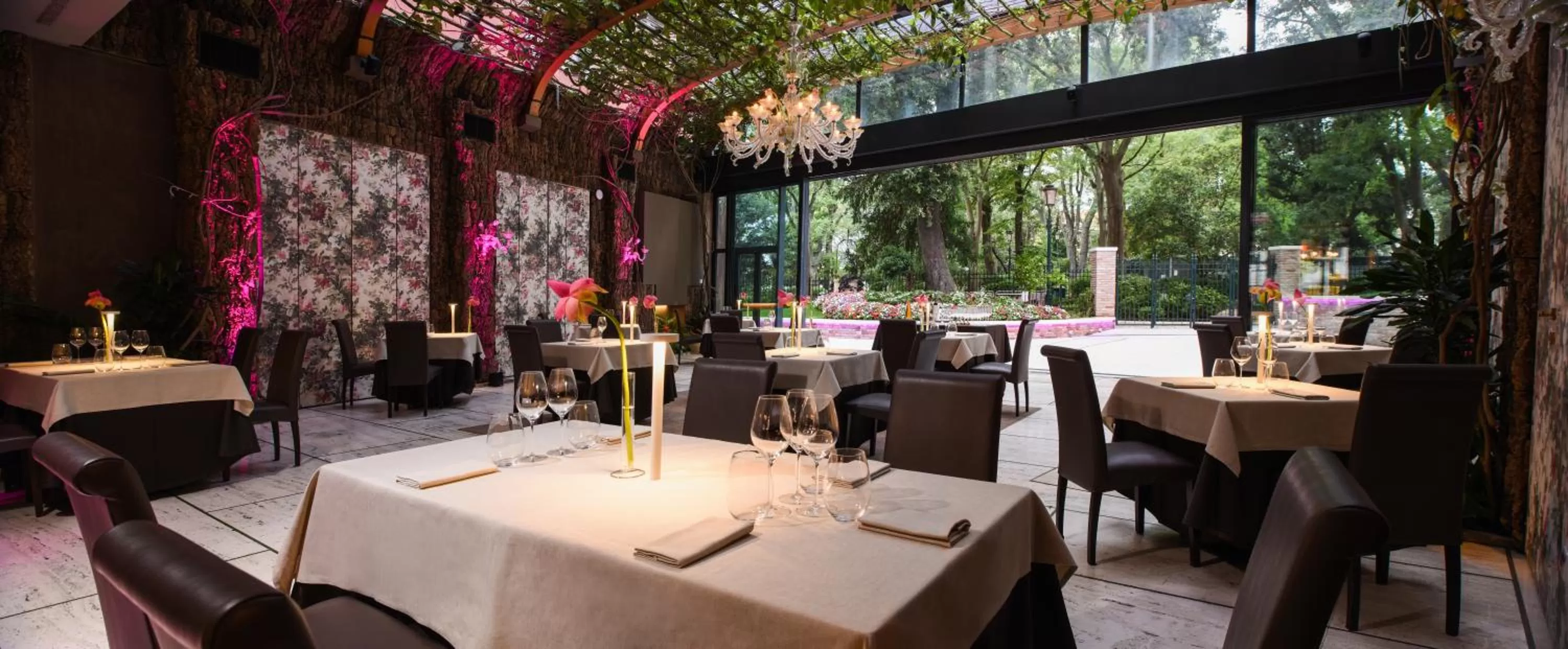 Restaurant/places to eat in Papadopoli Hotel Venezia - MGallery Collection