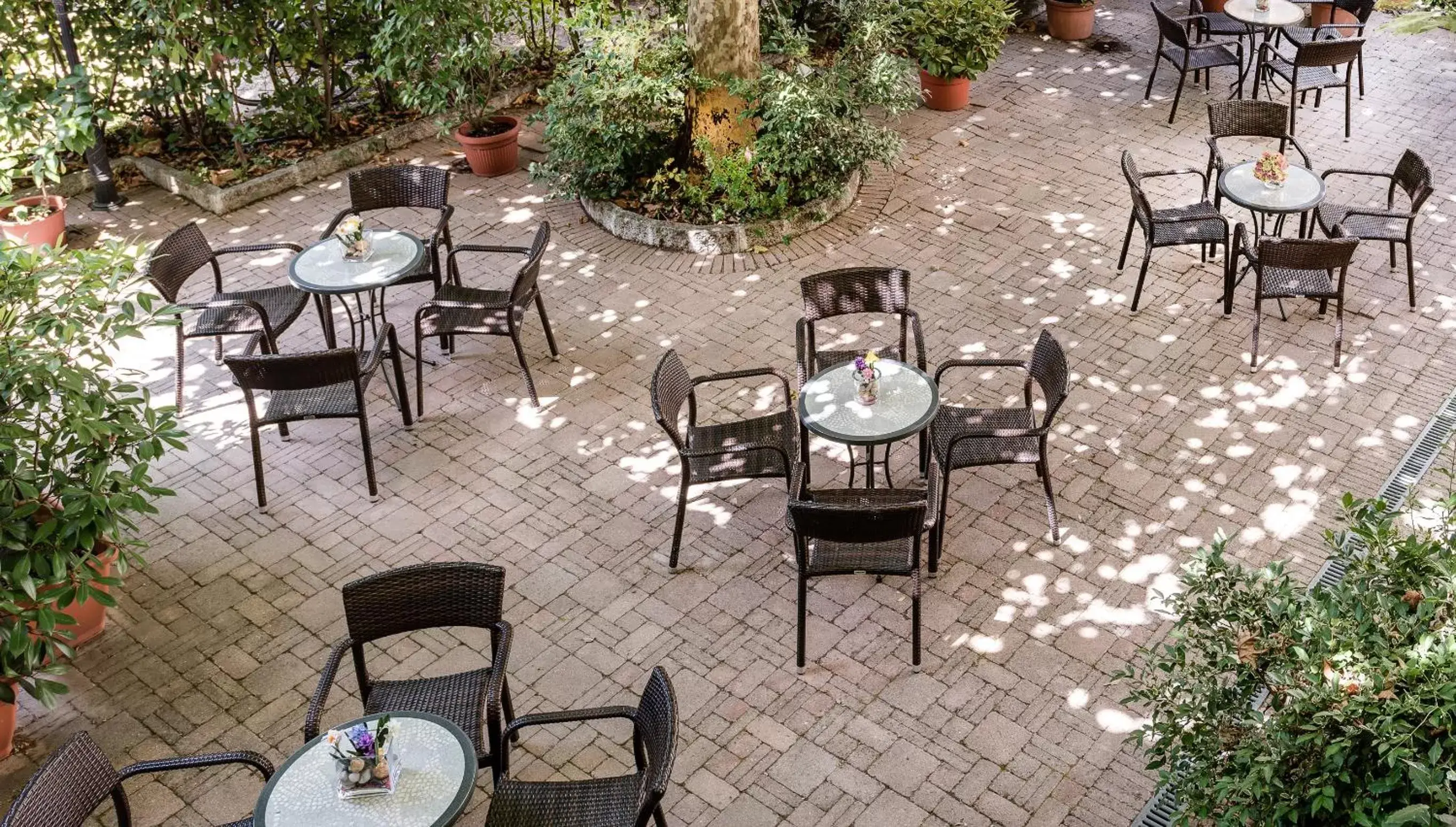 Garden, Restaurant/Places to Eat in Hotel Da Vinci