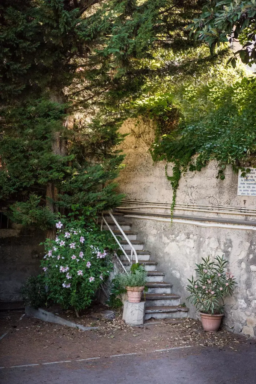 Garden in Hotel d'Angleterre