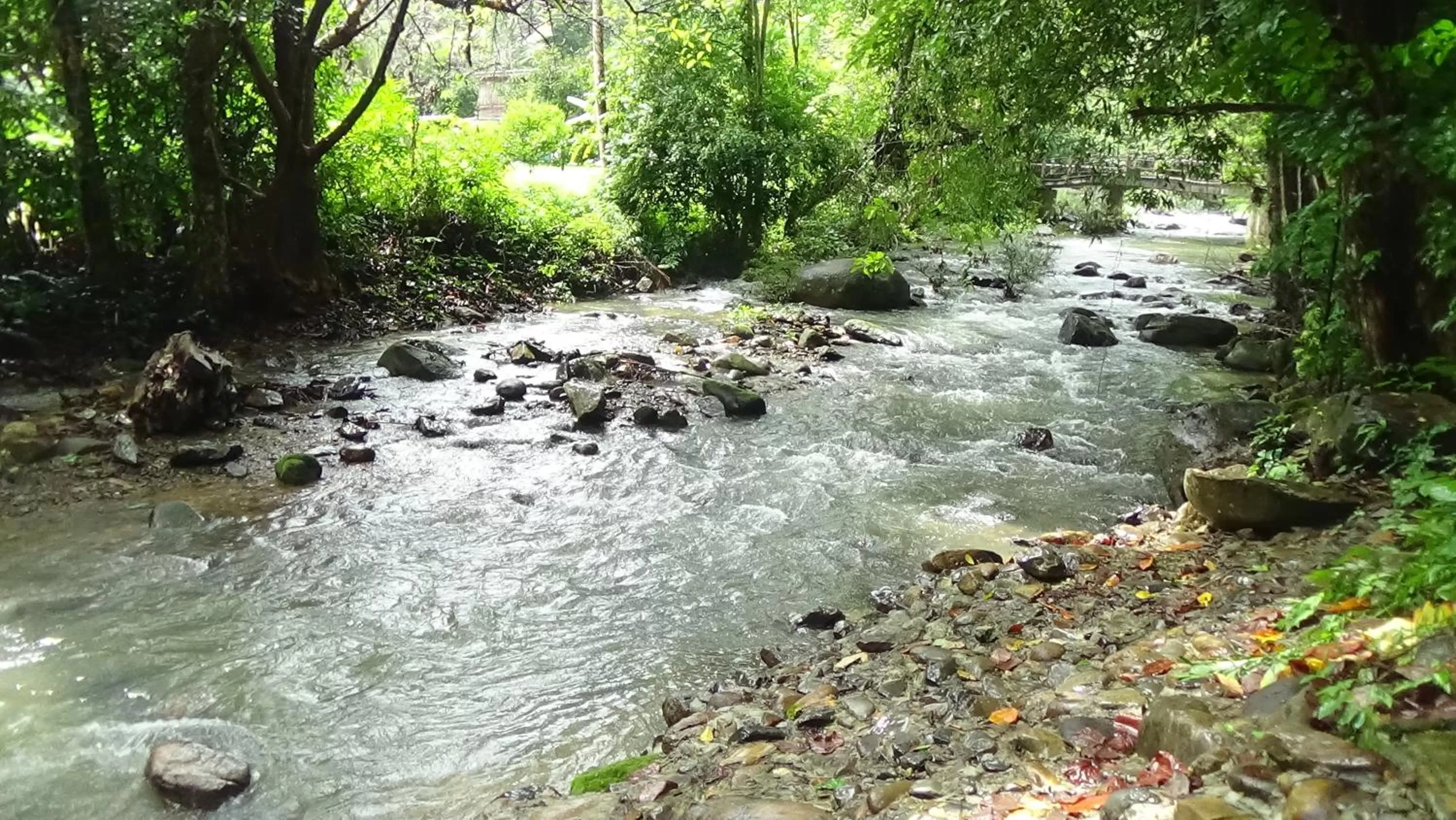 Canoeing in Tree Tops River Huts