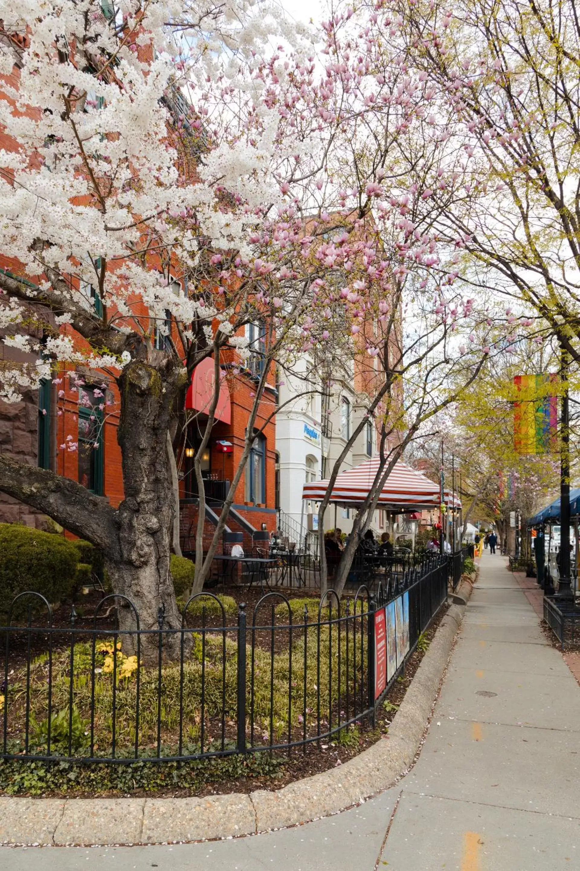 Property Building in Found Dupont Circle powered by Sonder