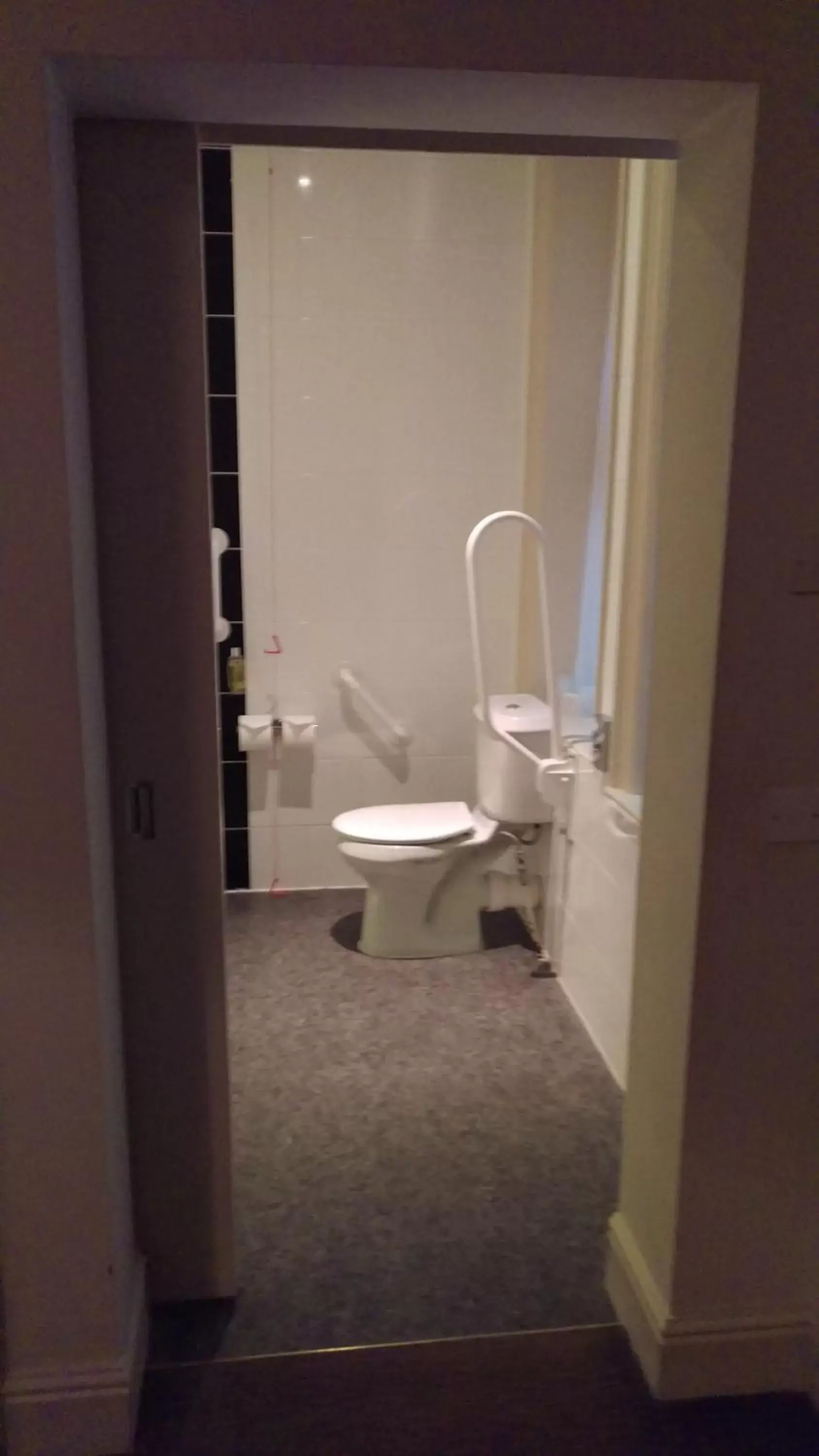Toilet, Bathroom in The Crown Hotel