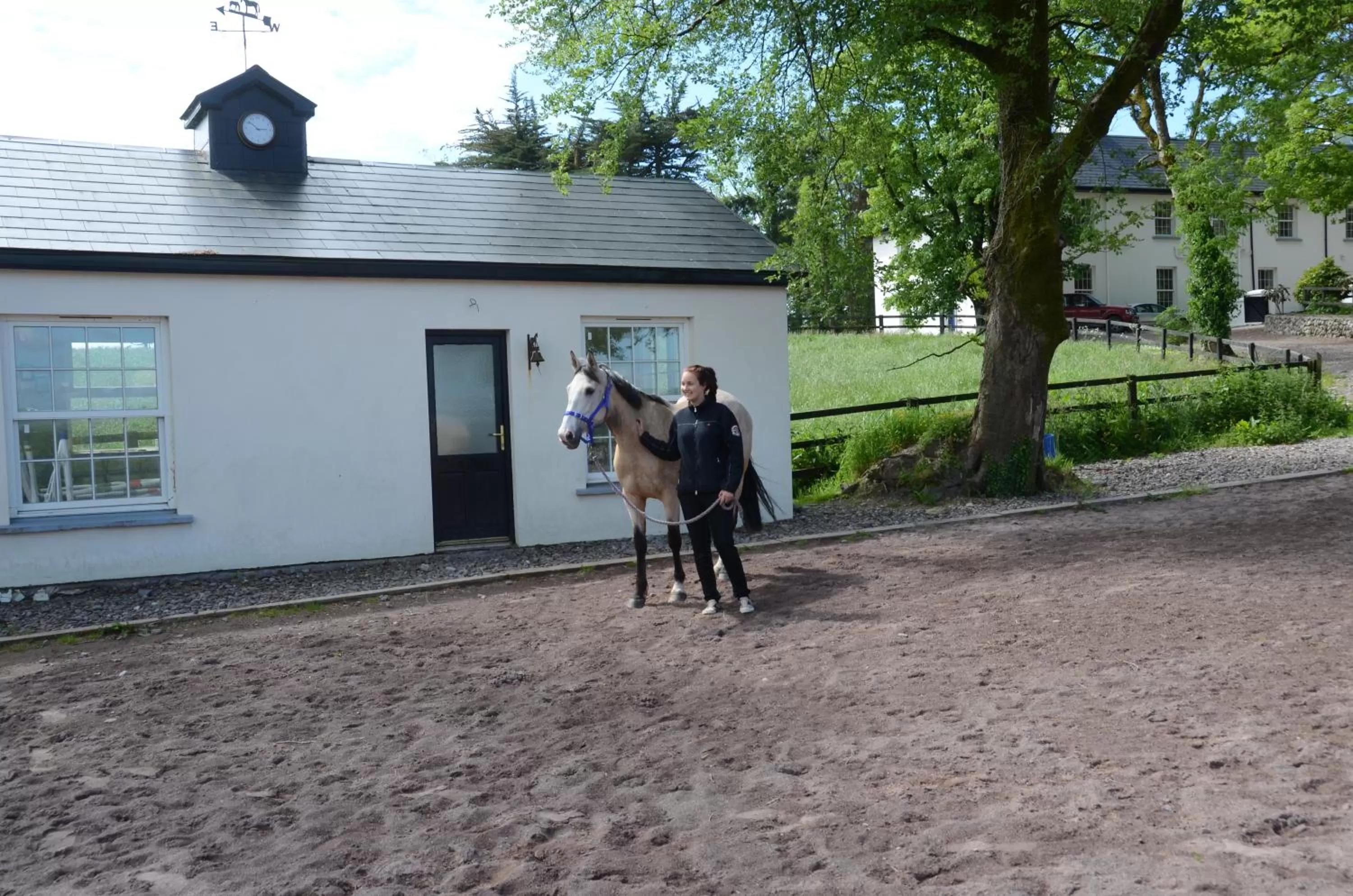 Horse-riding in Cannaway House B&B