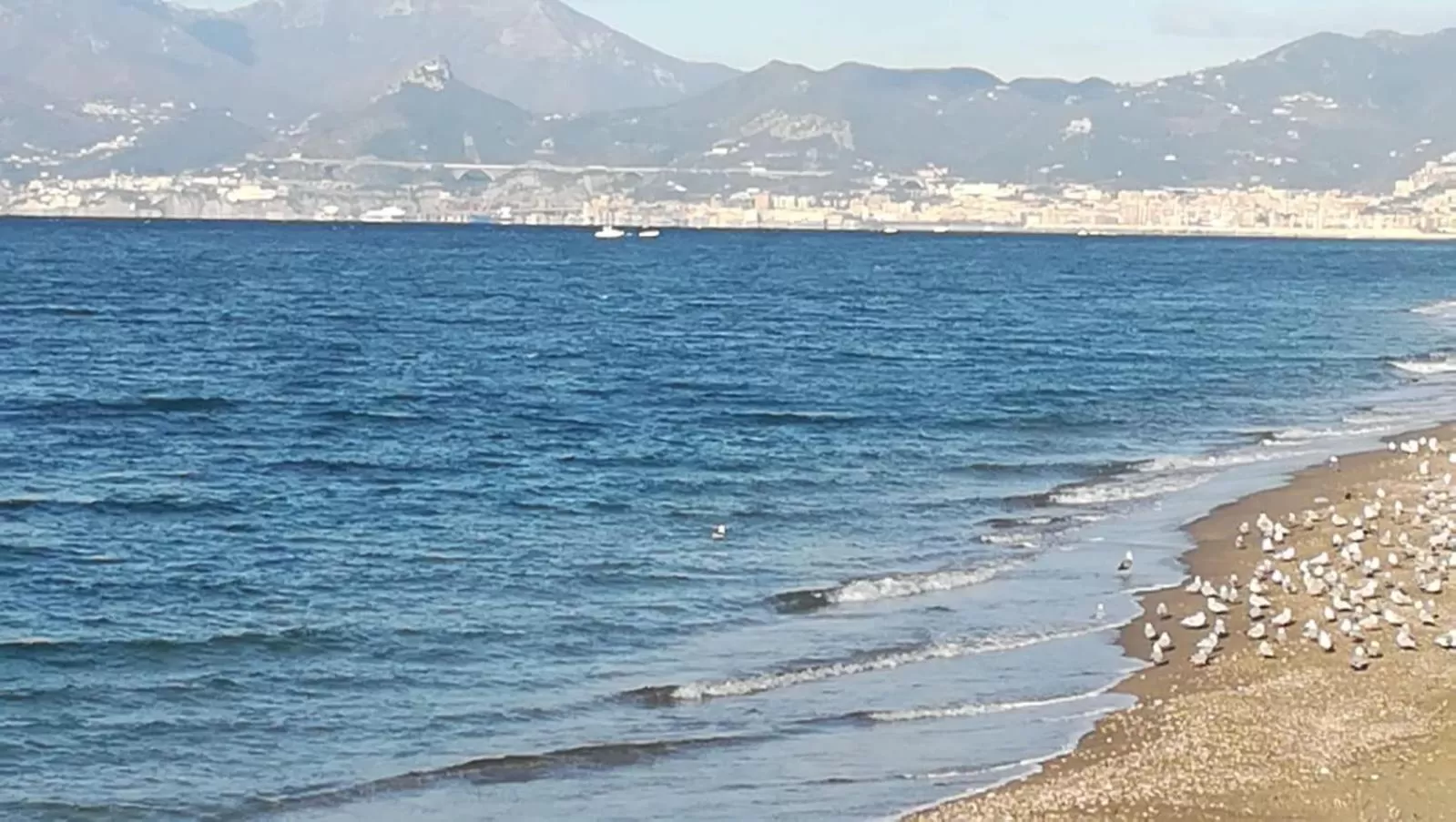 Beach in Hotel Calypso