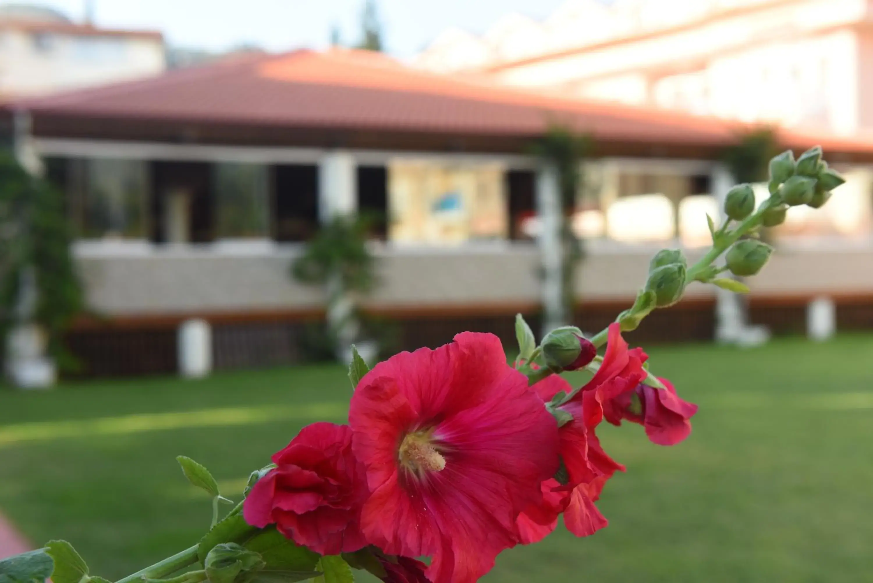 Day in Oludeniz Turquoise Hotel