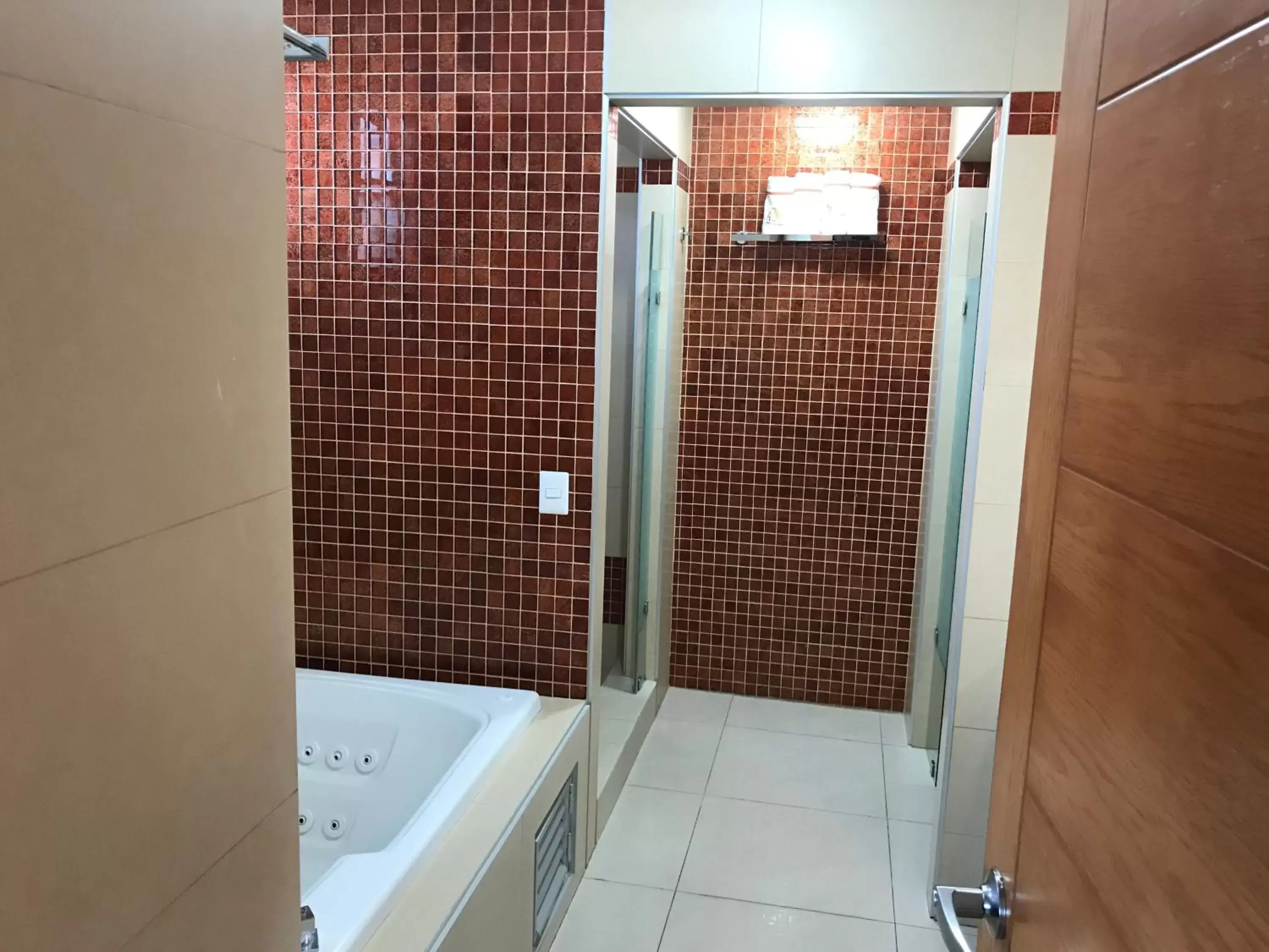 Shower, Bathroom in Hostalia Hotel Expo & Business Class