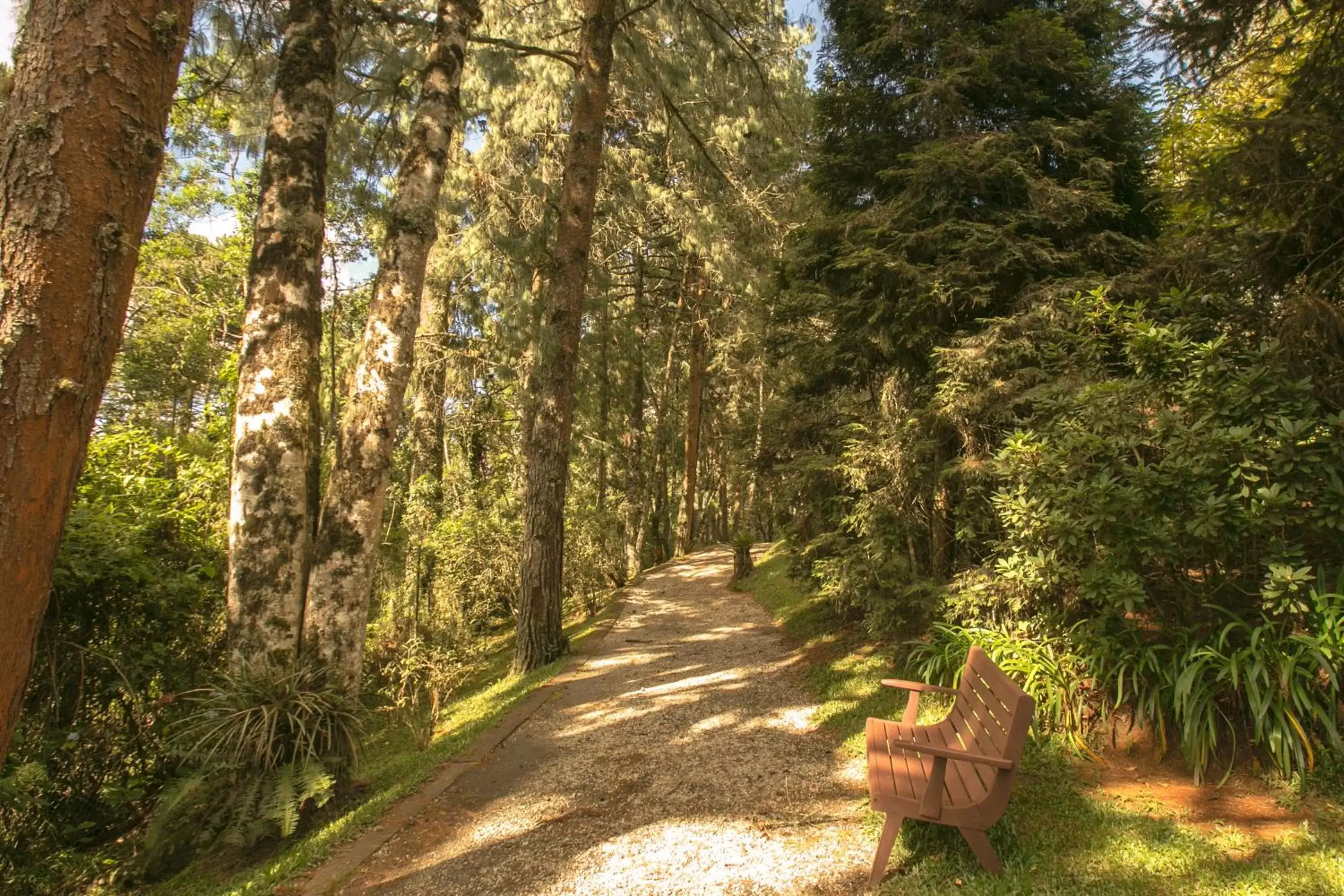 Natural landscape in Hotel Toriba