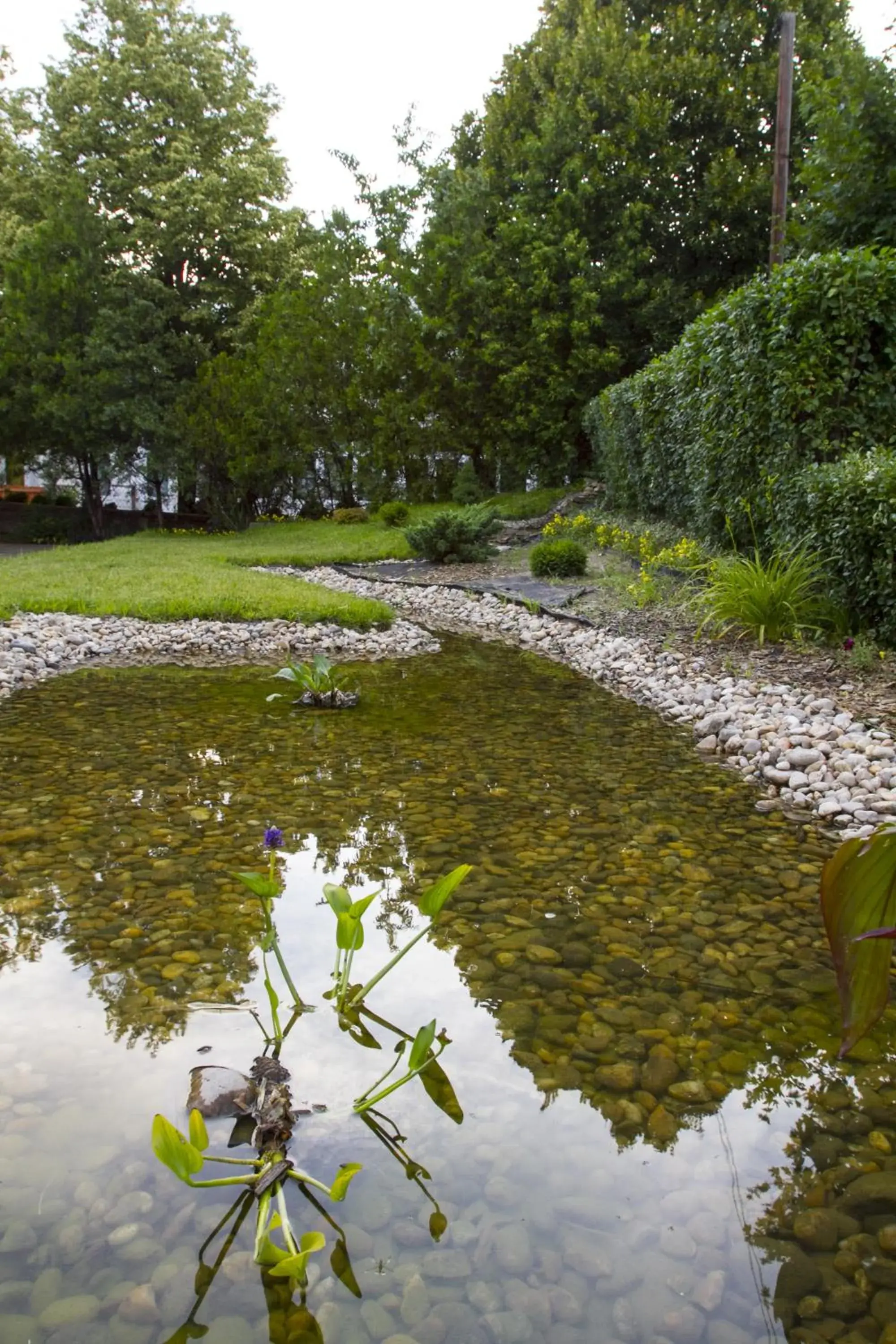 Garden in Classic Hotel