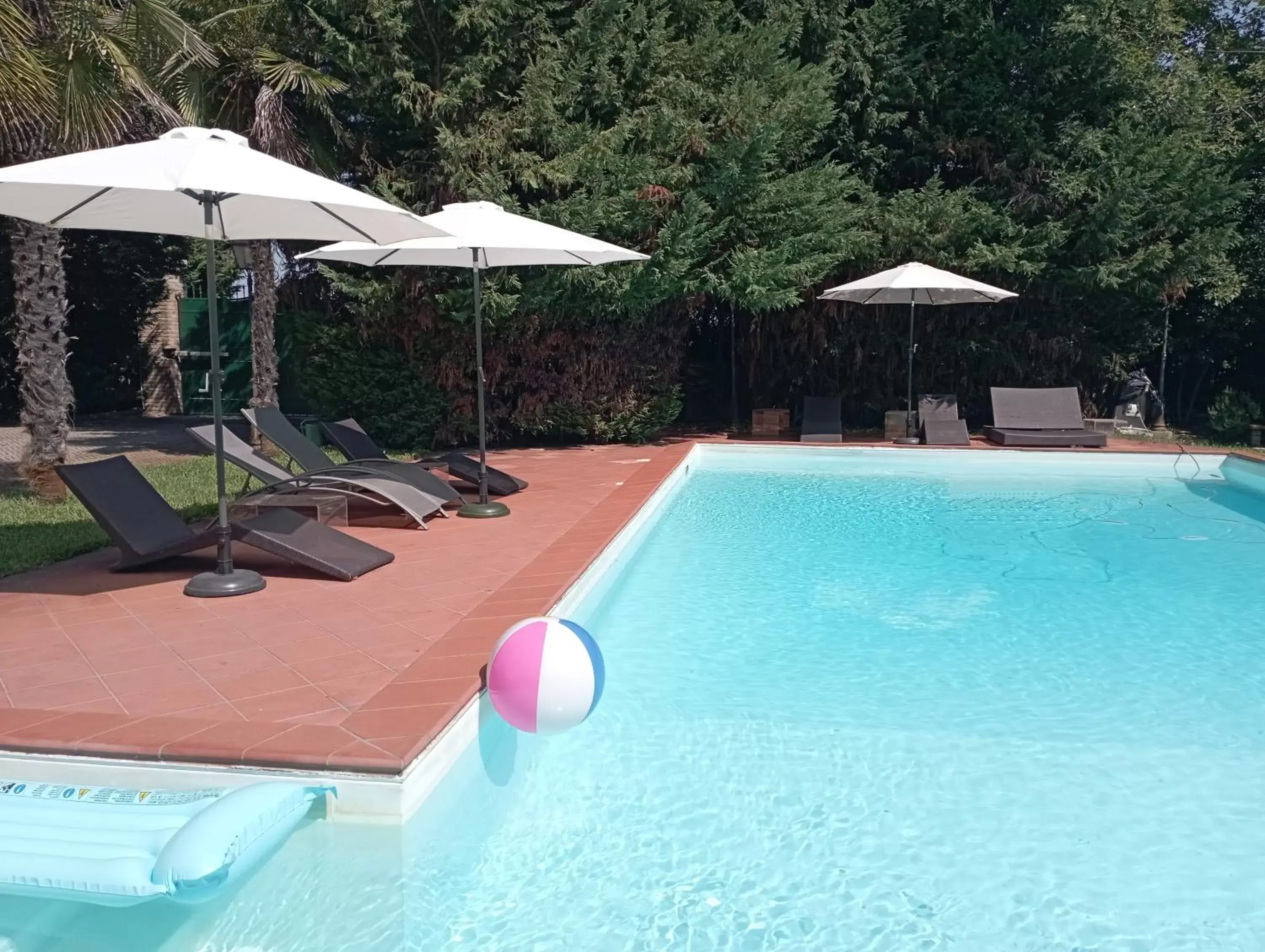 Swimming Pool in Villa delle palme B&B 5 stelle