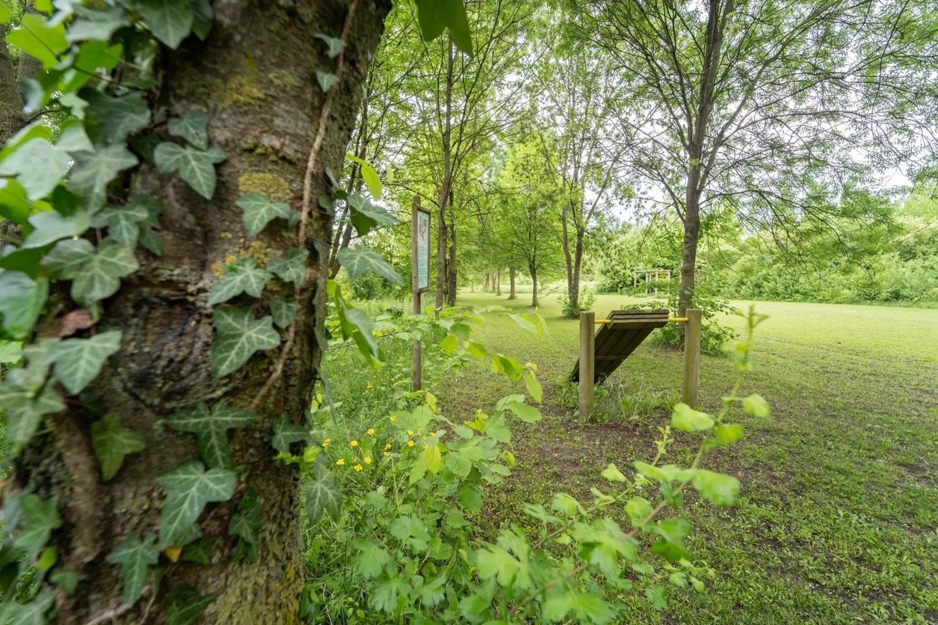 Garden, Other Animals in Hotel Terme Delle Nazioni