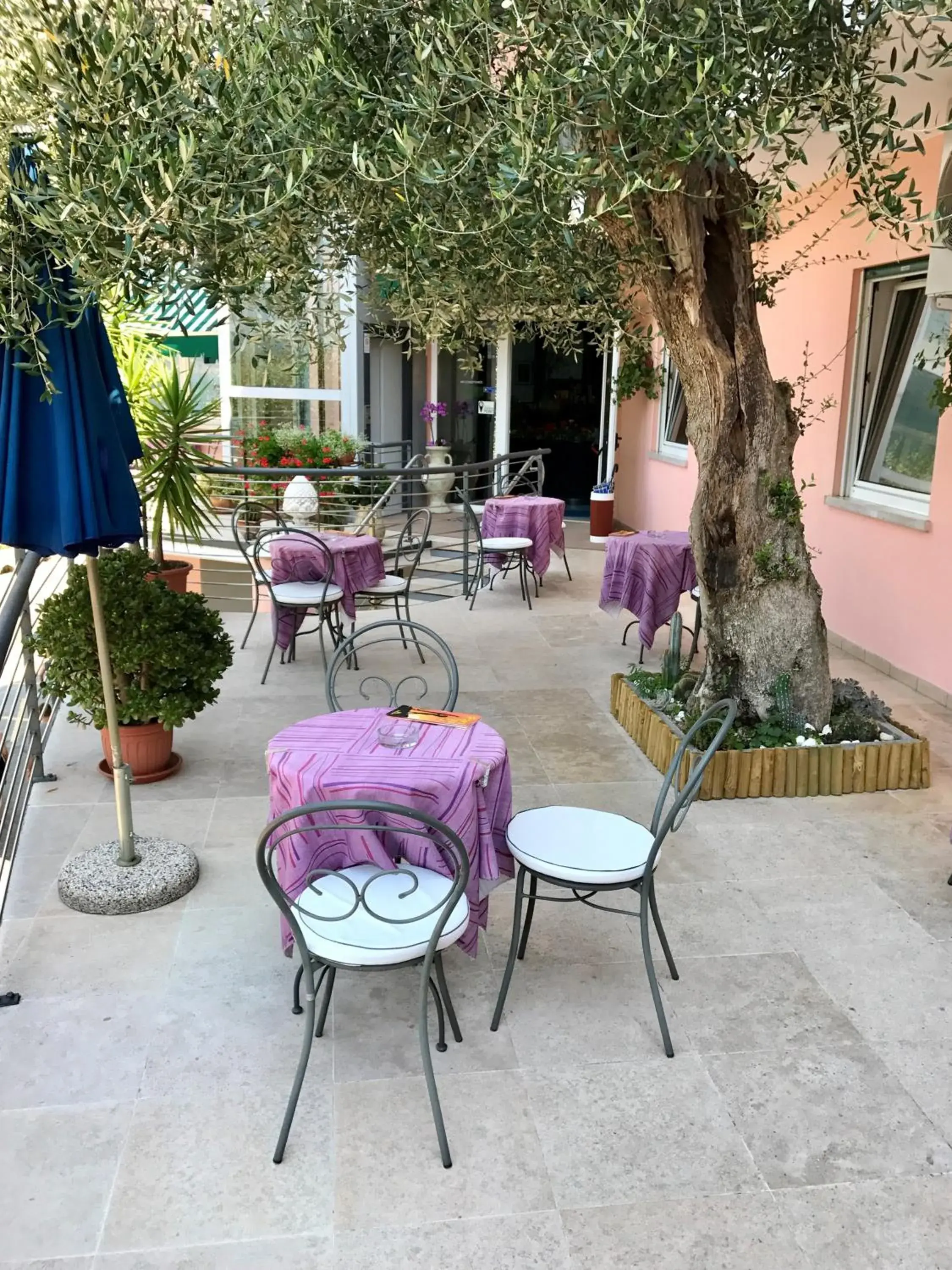 Restaurant/places to eat in Hotel Antonella