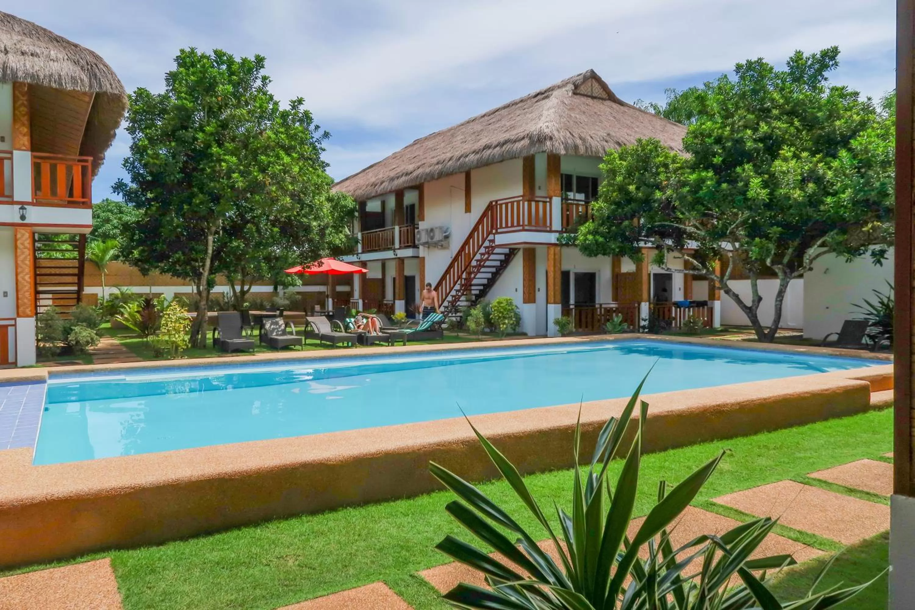 Garden in Scent of Green Papaya