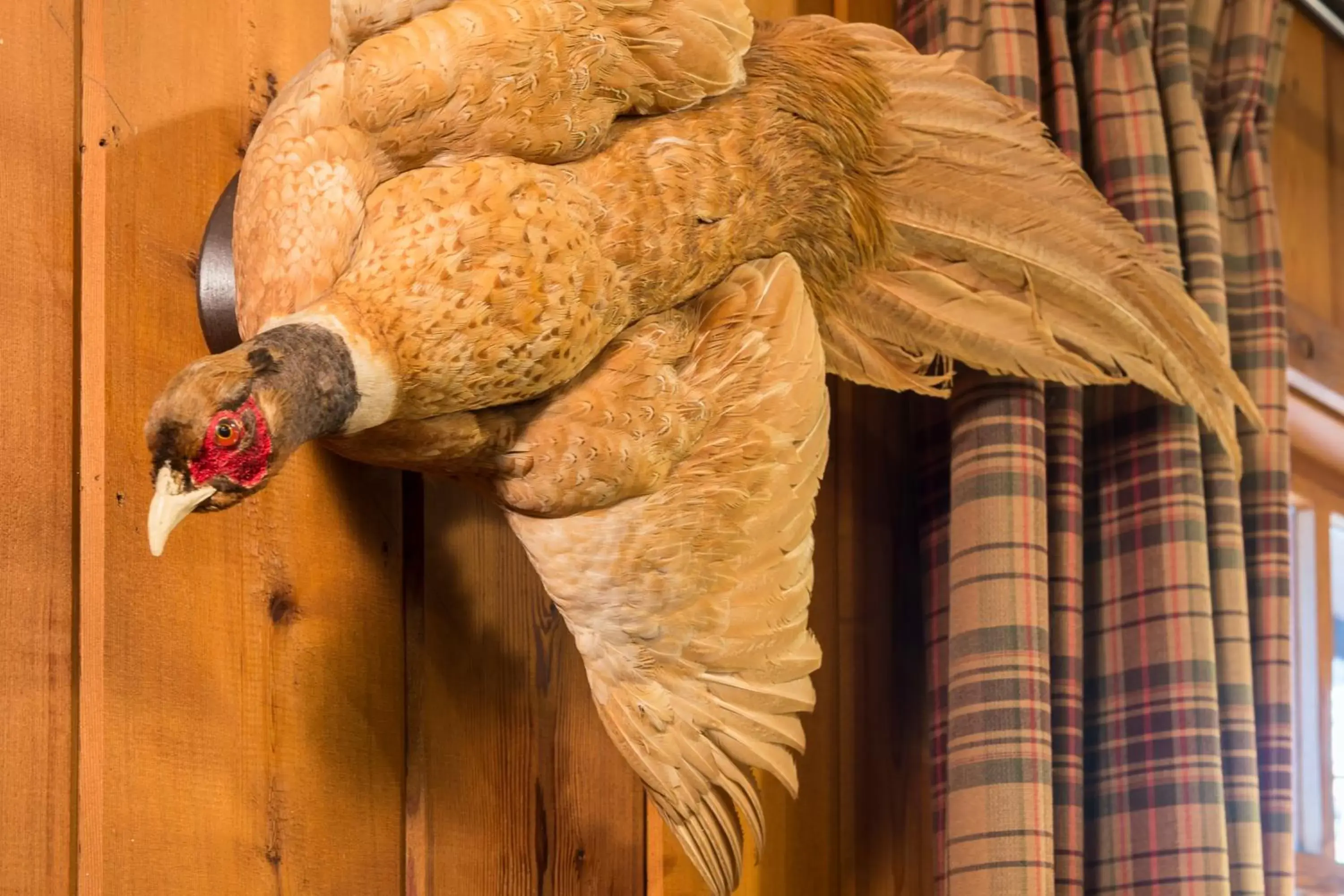 Lobby or reception in Ayres Lodge Alpine Lobby or reception in Ayres Lodge Alpine