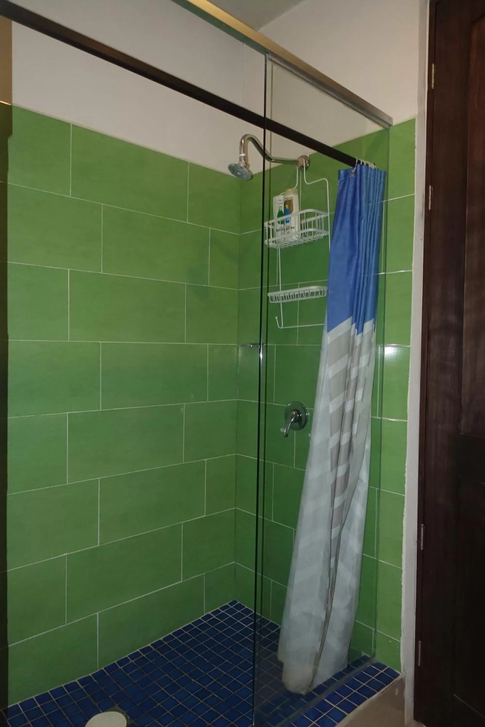 Shower, Bathroom in Terra Vista