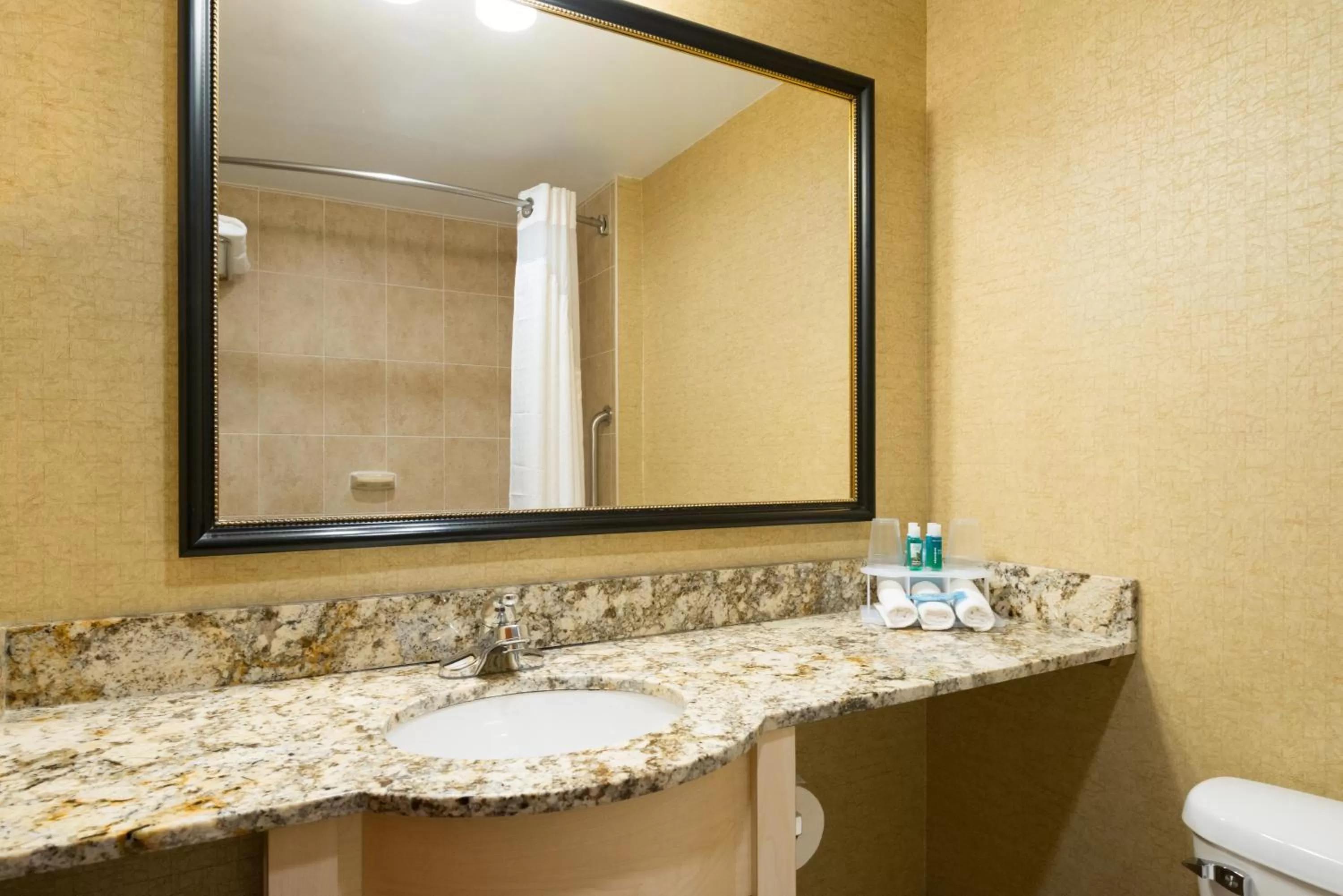Standard King Room with Walk In Shower - High Floor in Holiday Inn Express - Wall Street, an IHG Hotel