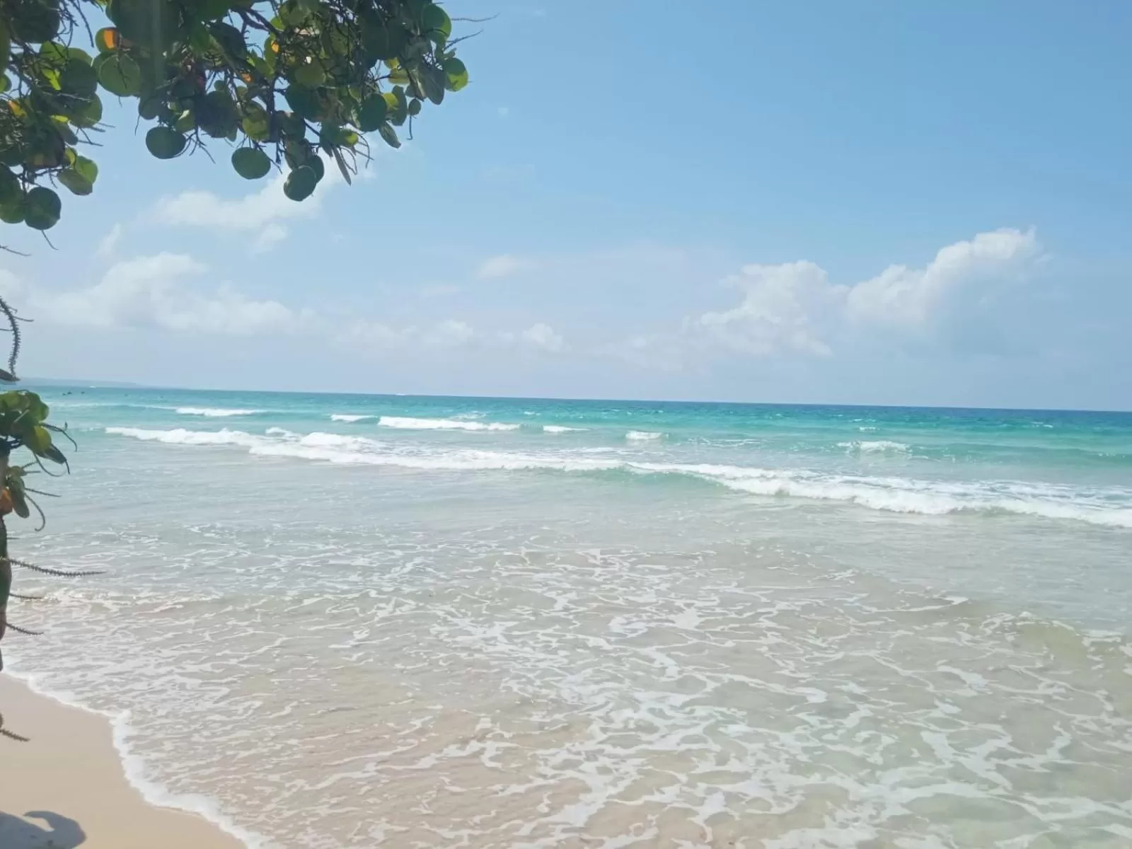 La Luciernaga Big Creek