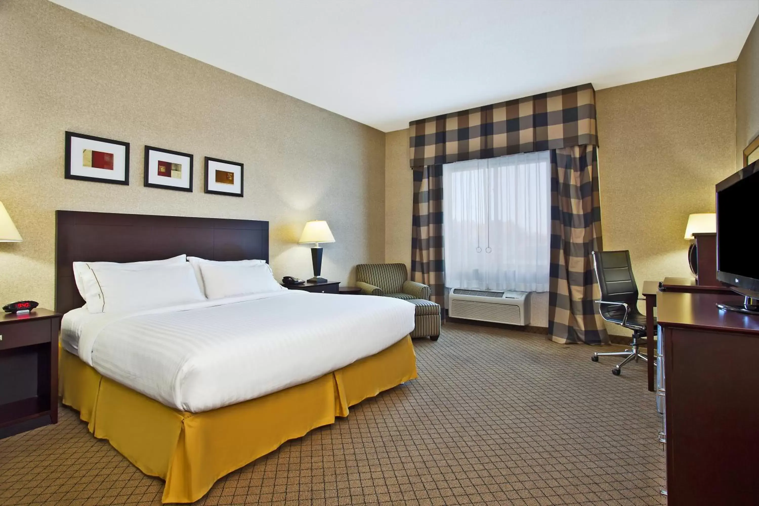 Photo of the whole room, Bed in Holiday Inn Express Hotel & Suites Anderson, an IHG Hotel