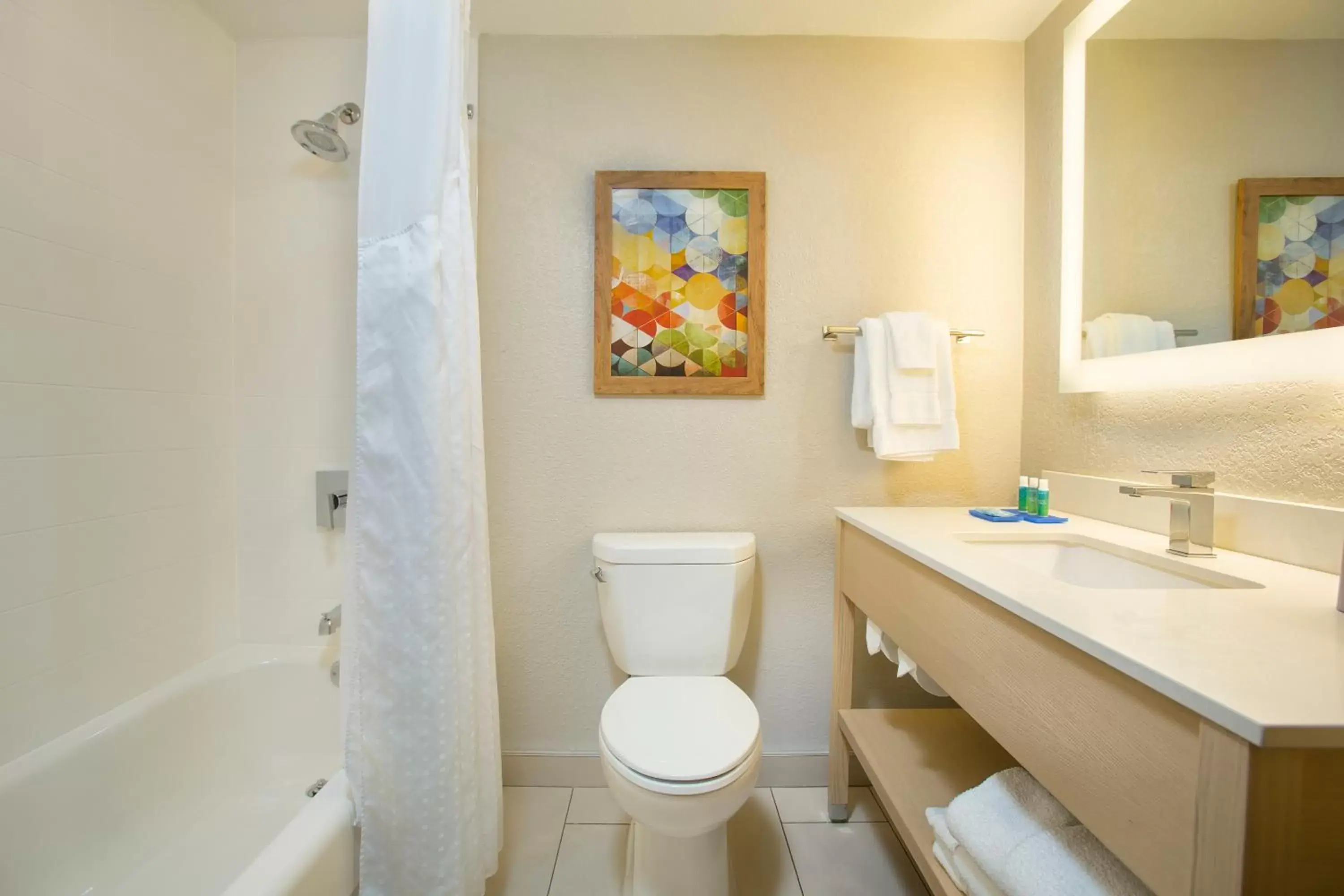 Bathroom in Holiday Inn Express & Suites S Lake Buena Vista, an IHG Hotel