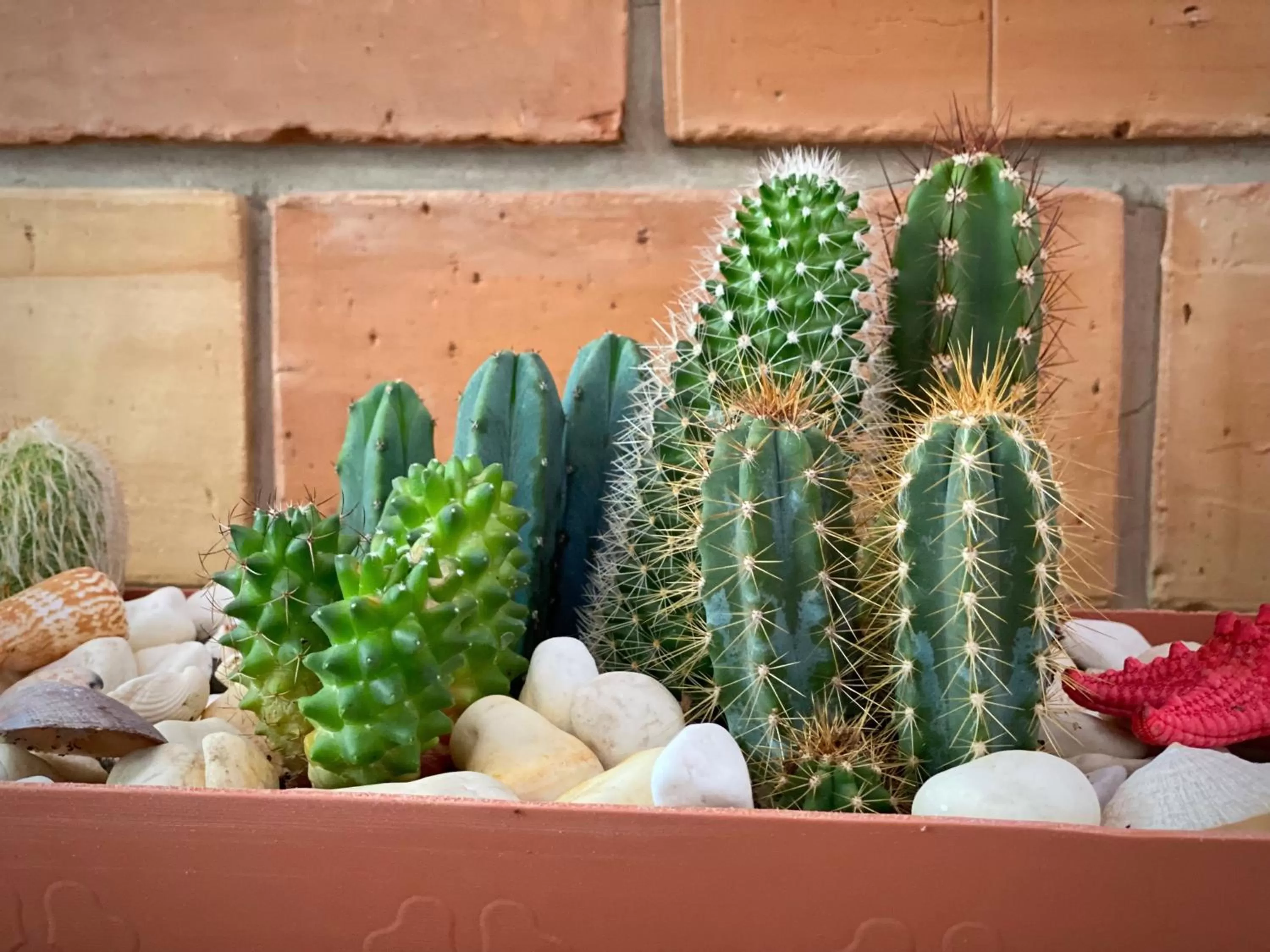 Decorative detail in A Fogadó