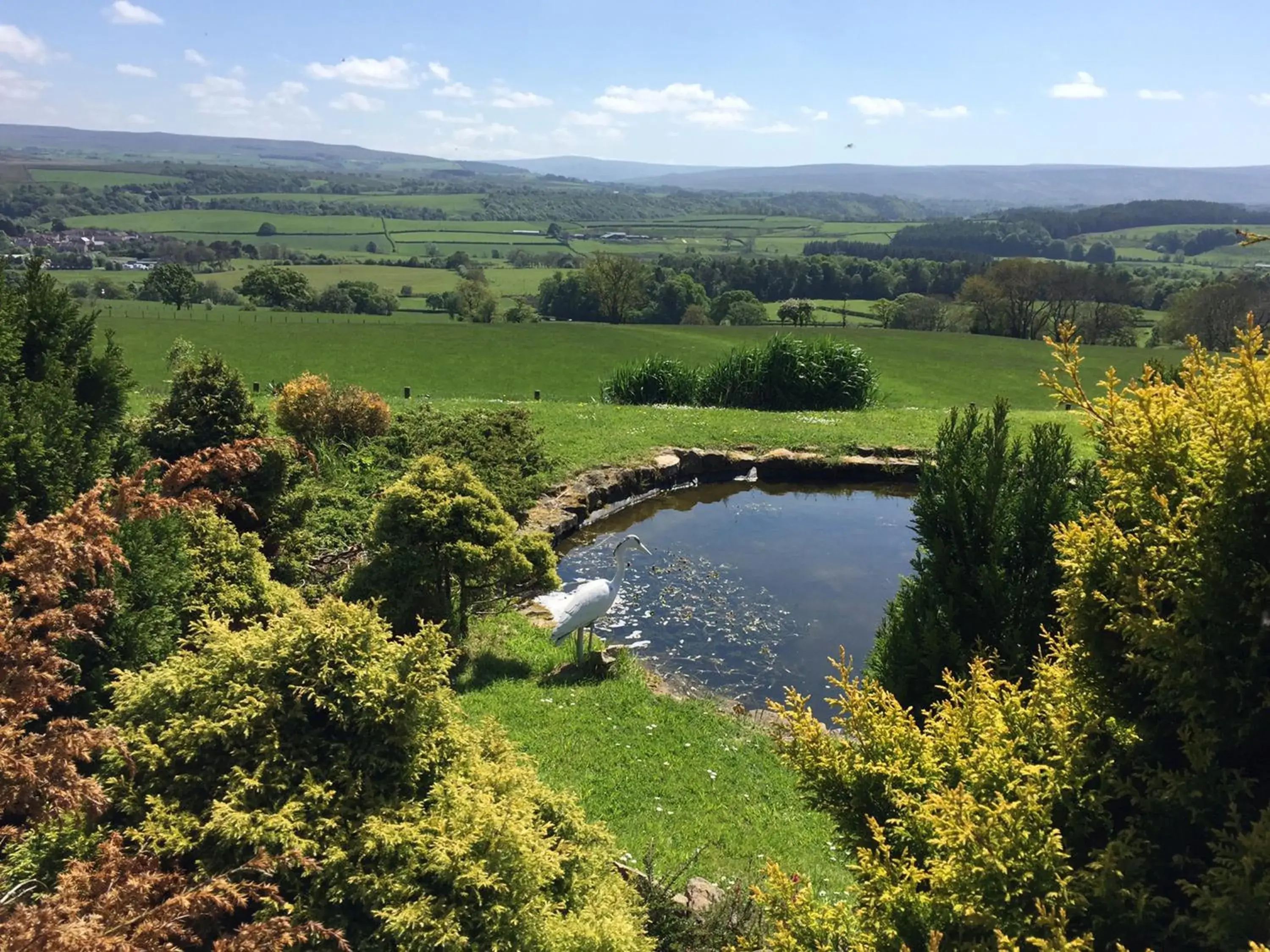 Day, Natural Landscape in Centre Of Britain Hotel