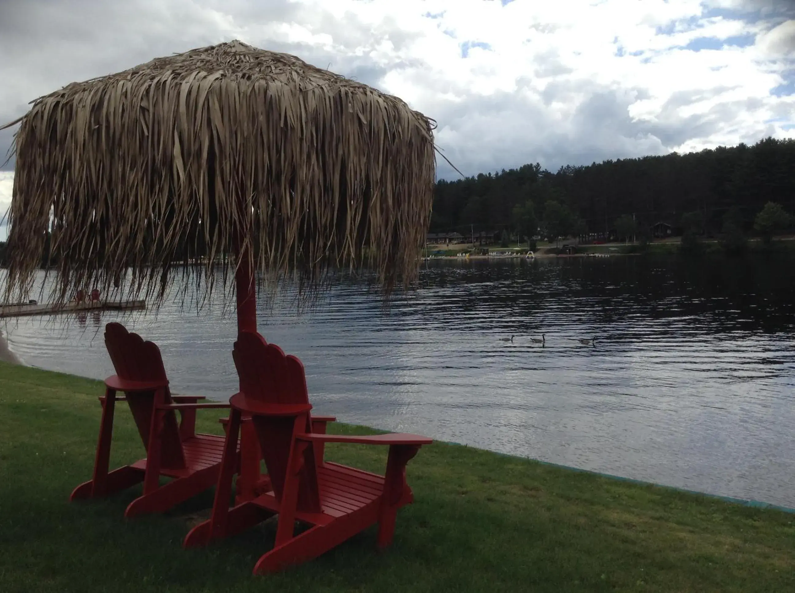 Beach in Algonquin Lakeside Inn