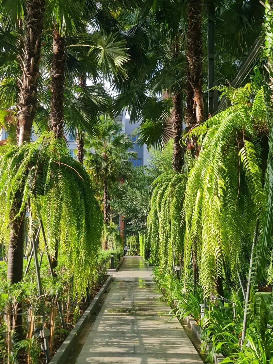 Garden in Aisana Hotel Korat