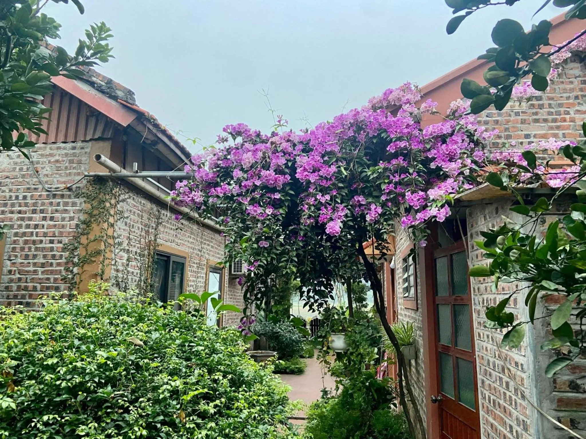 Property Building in Tam Coc Mountain View Homestay