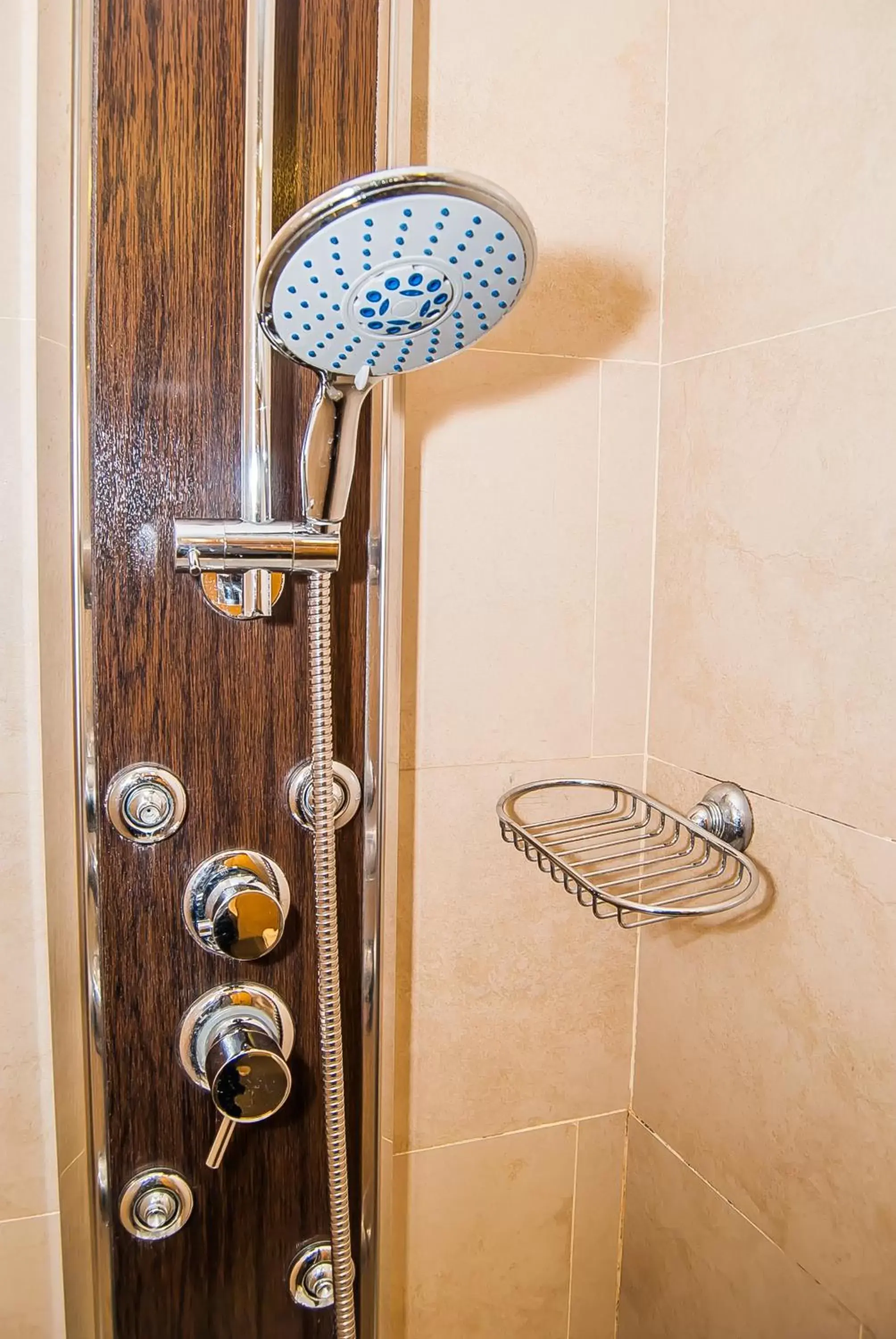 Shower, Bathroom in Ana María